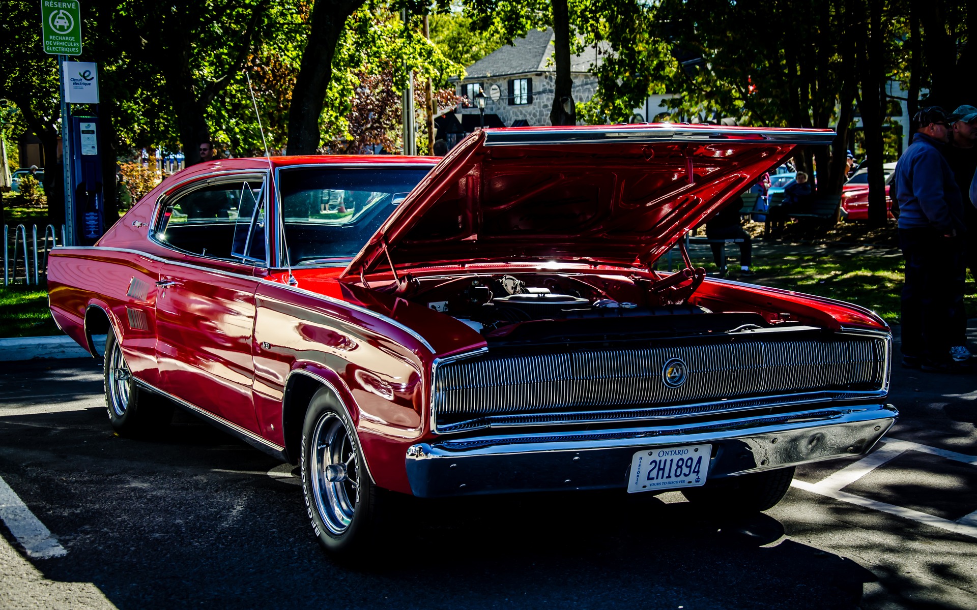 Photo: Laita Photography