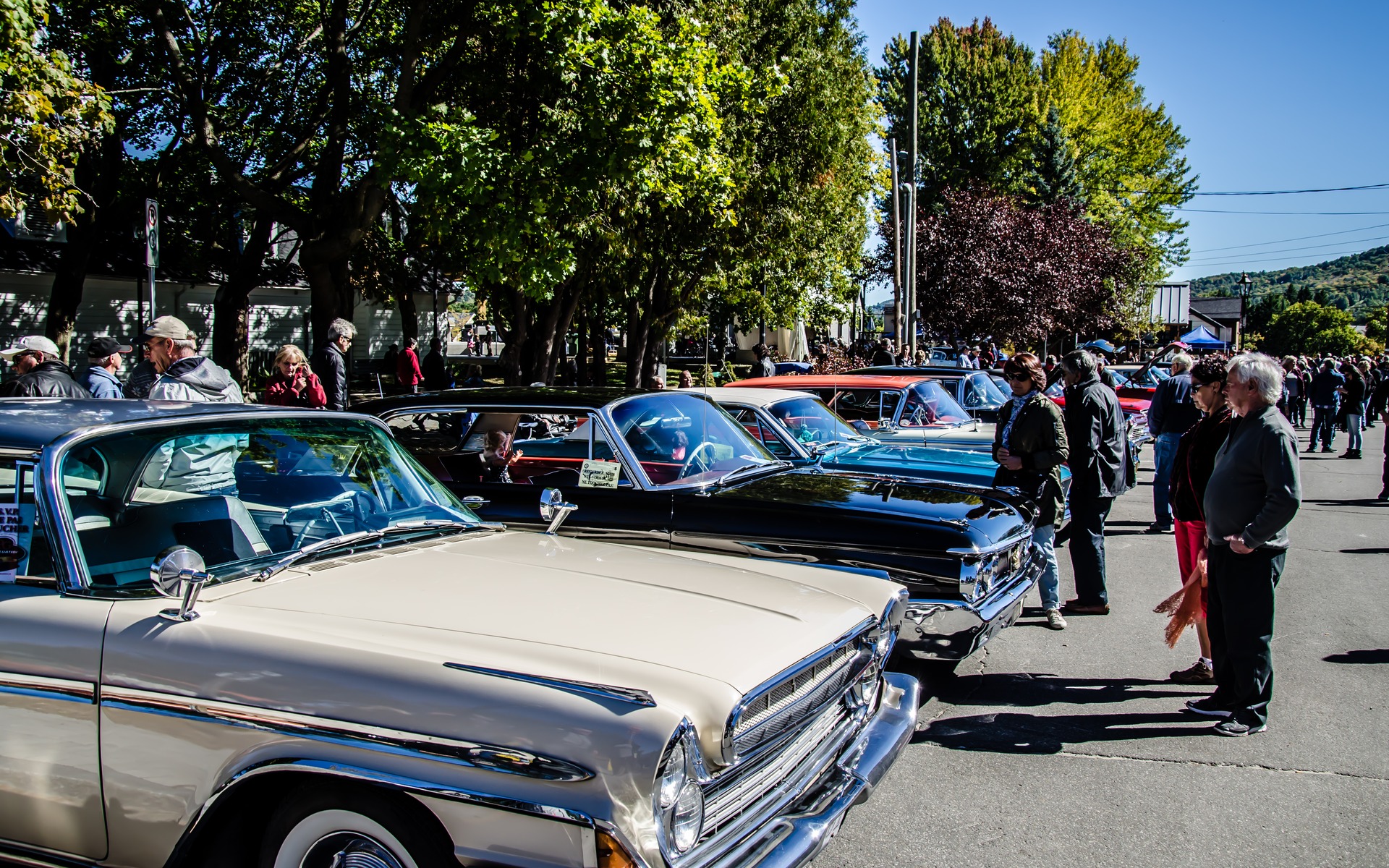 Photo: Laita Photography