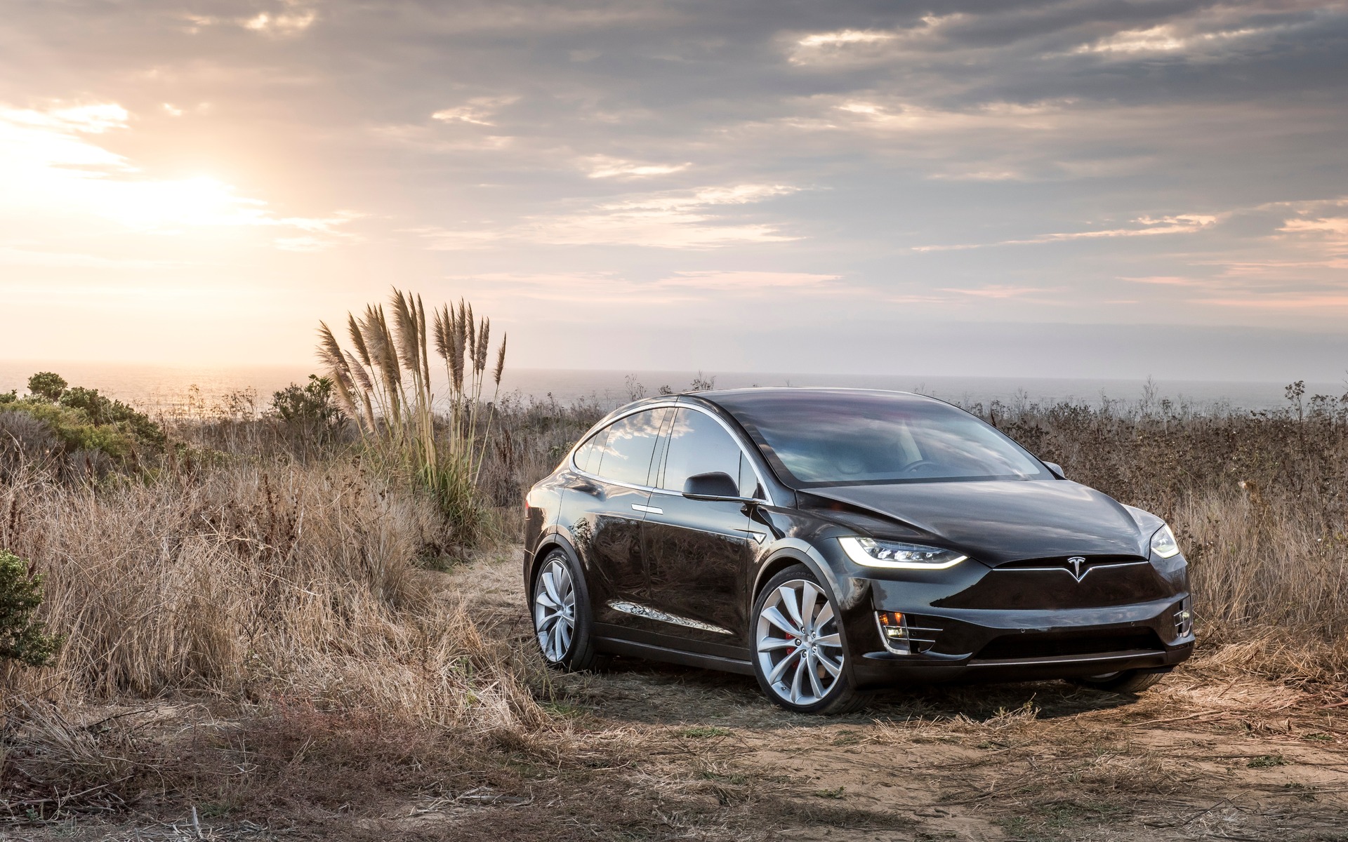 Tesla Sets A New Sales Record The Car Guide