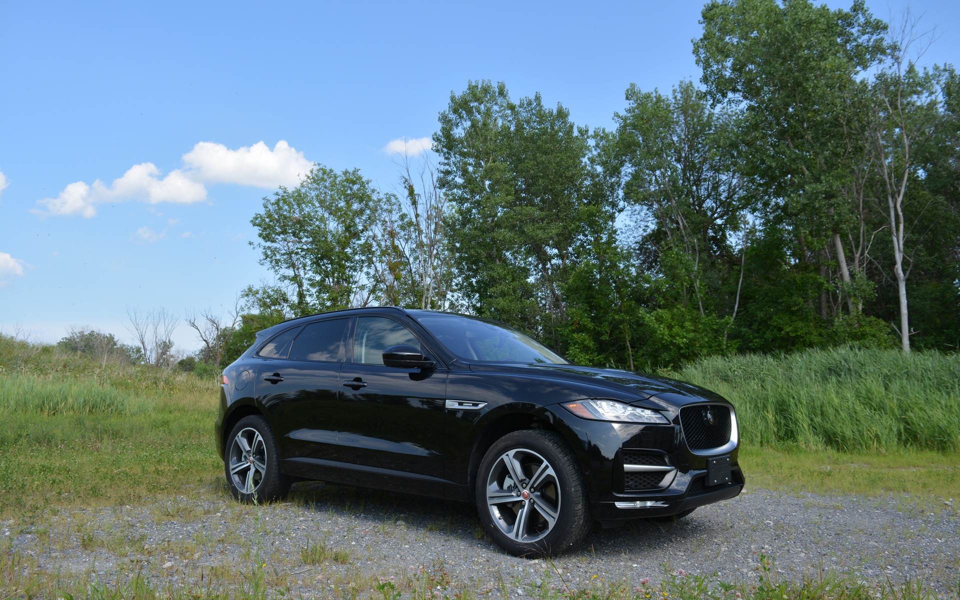 Photo: Mathieu St-Pierre