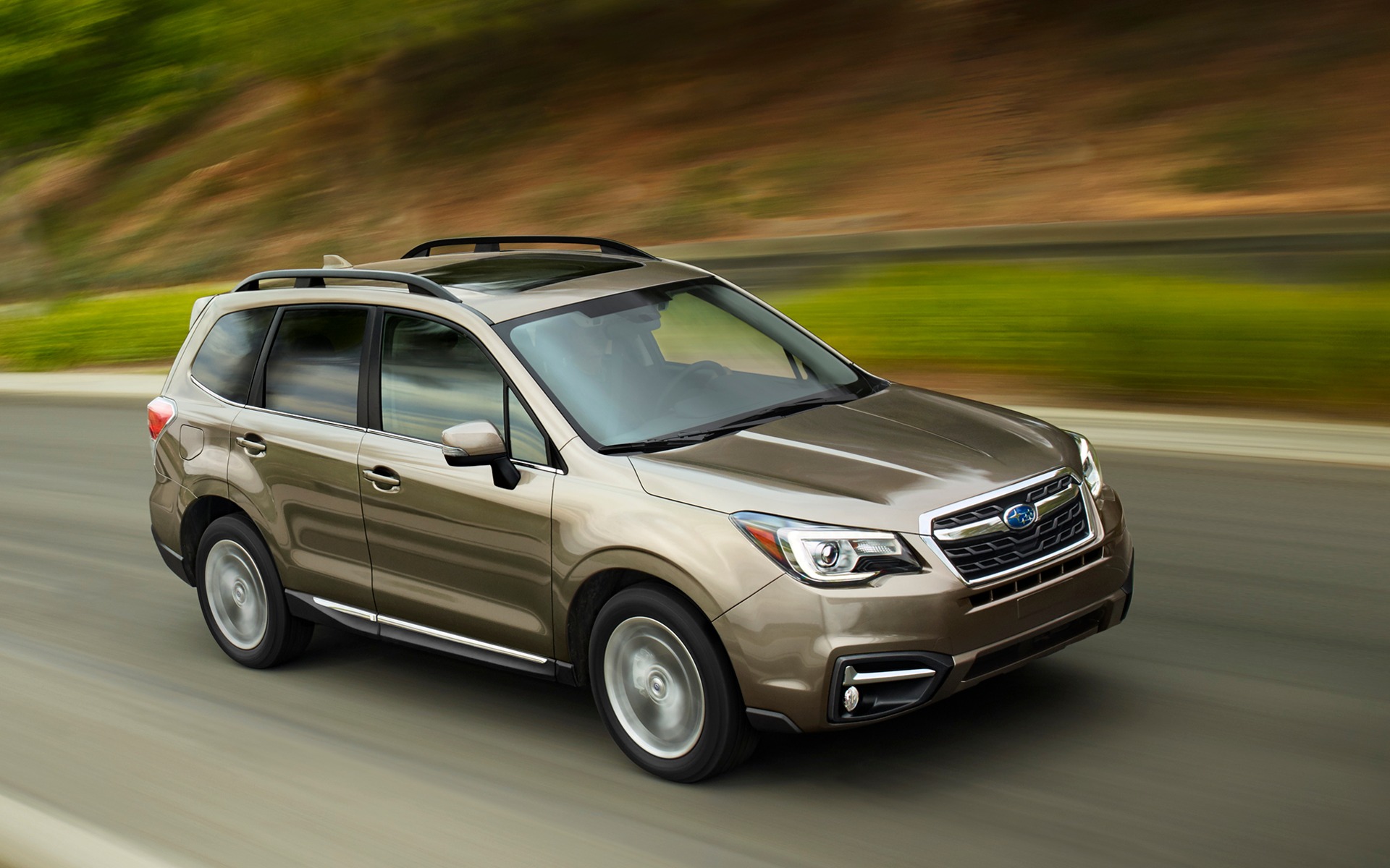 <p>2017 Subaru Forester</p>