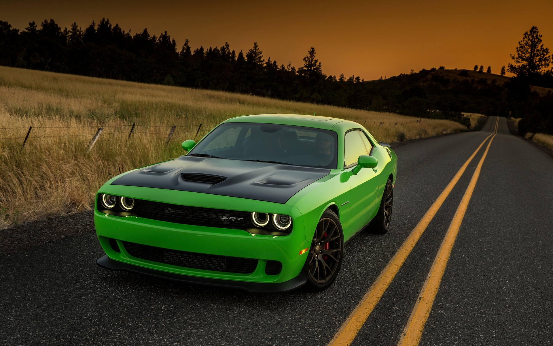 <p>Dodge Challenger SRT Hellcat</p>