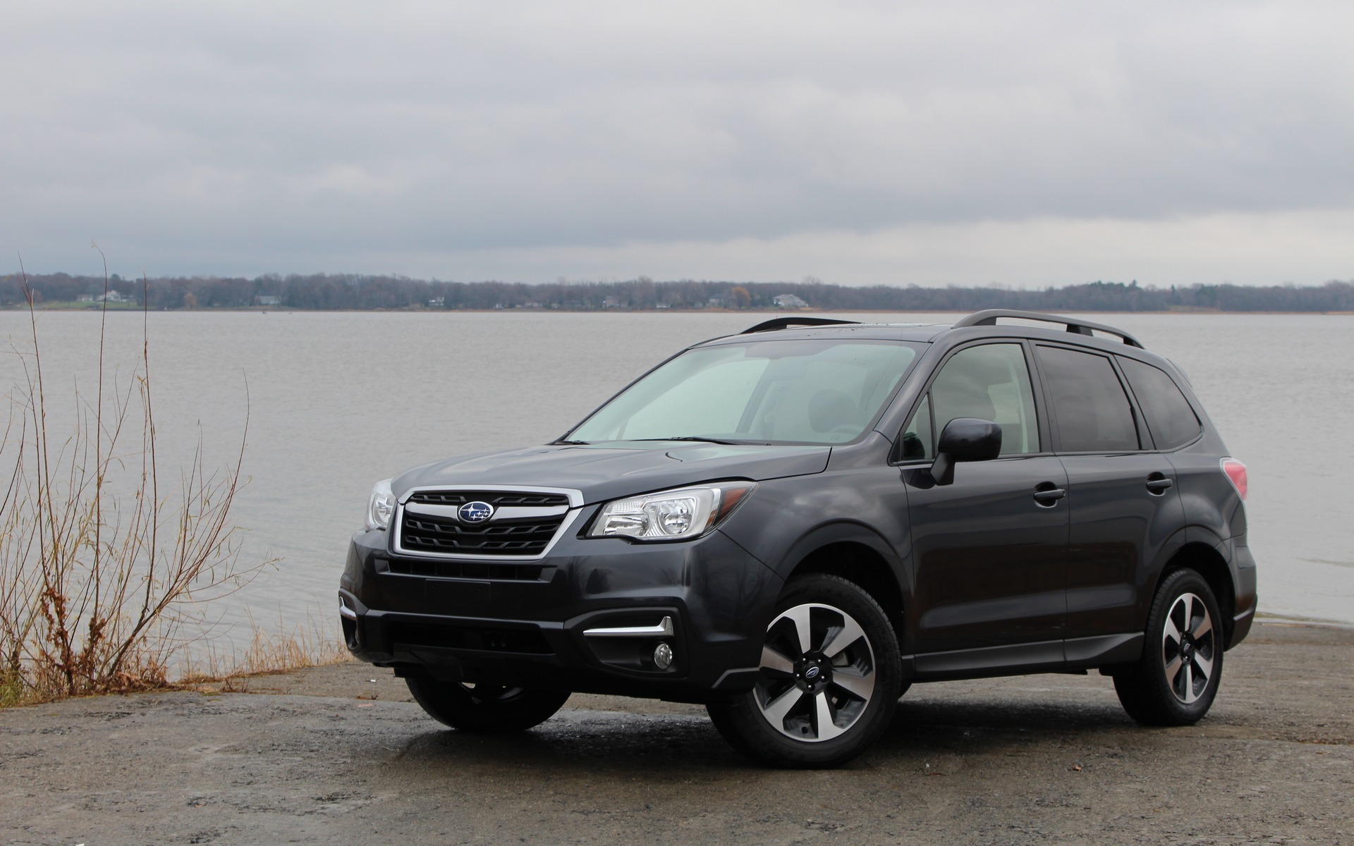 2017 Subaru Forester Black Sheep The Car Guide