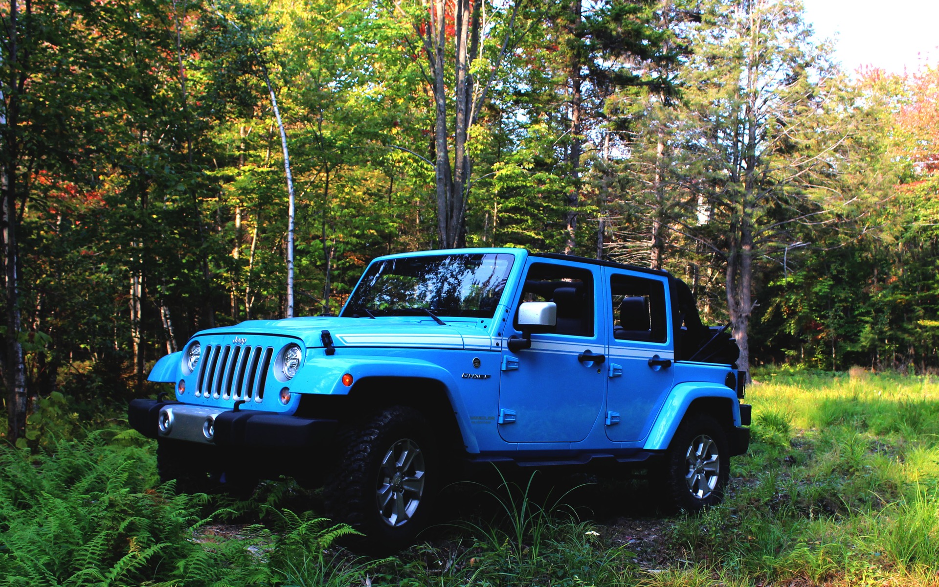 chief blue wrangler