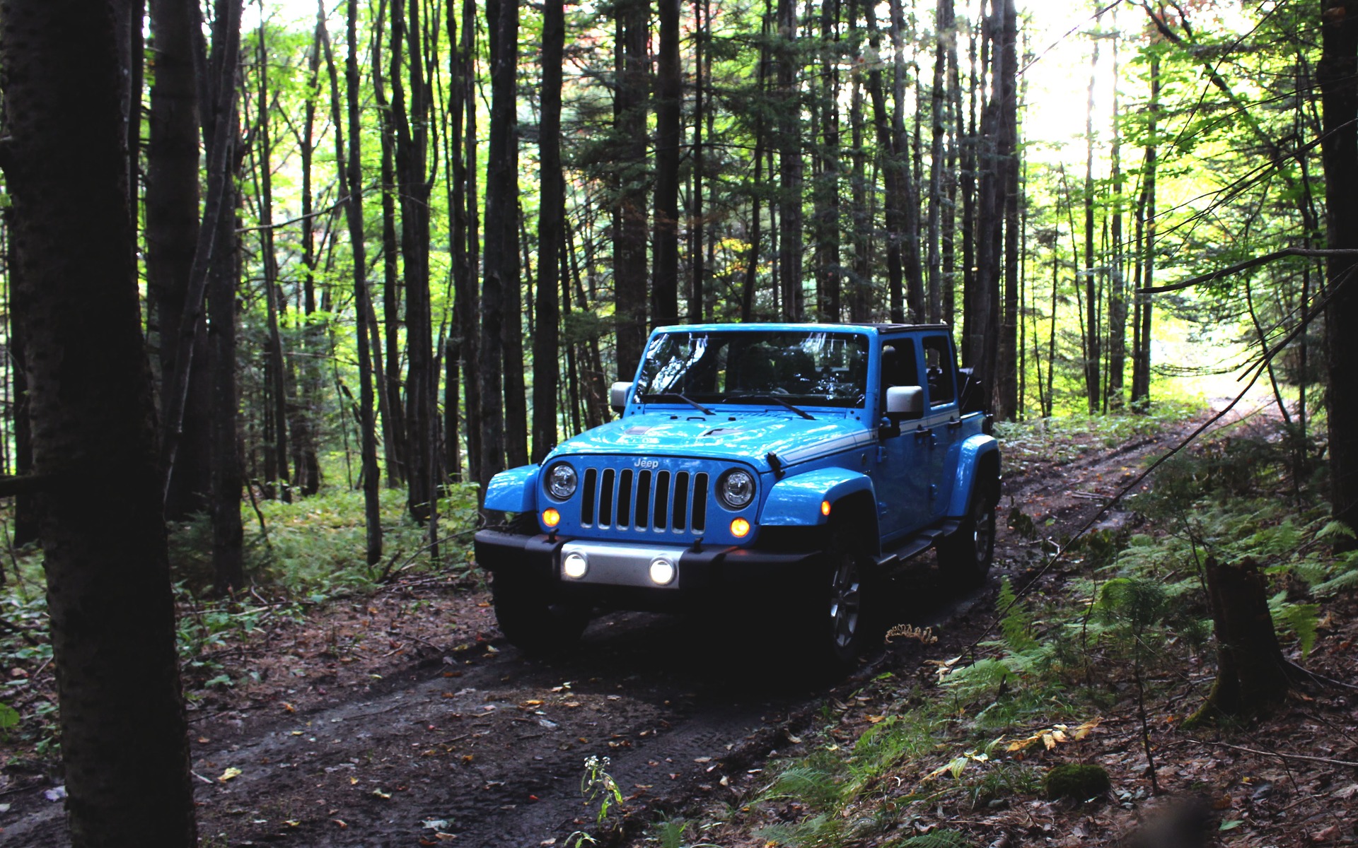 2017 Jeep Wrangler Chief Edition: Saying Goodbye to the JK with Style - The  Car Guide