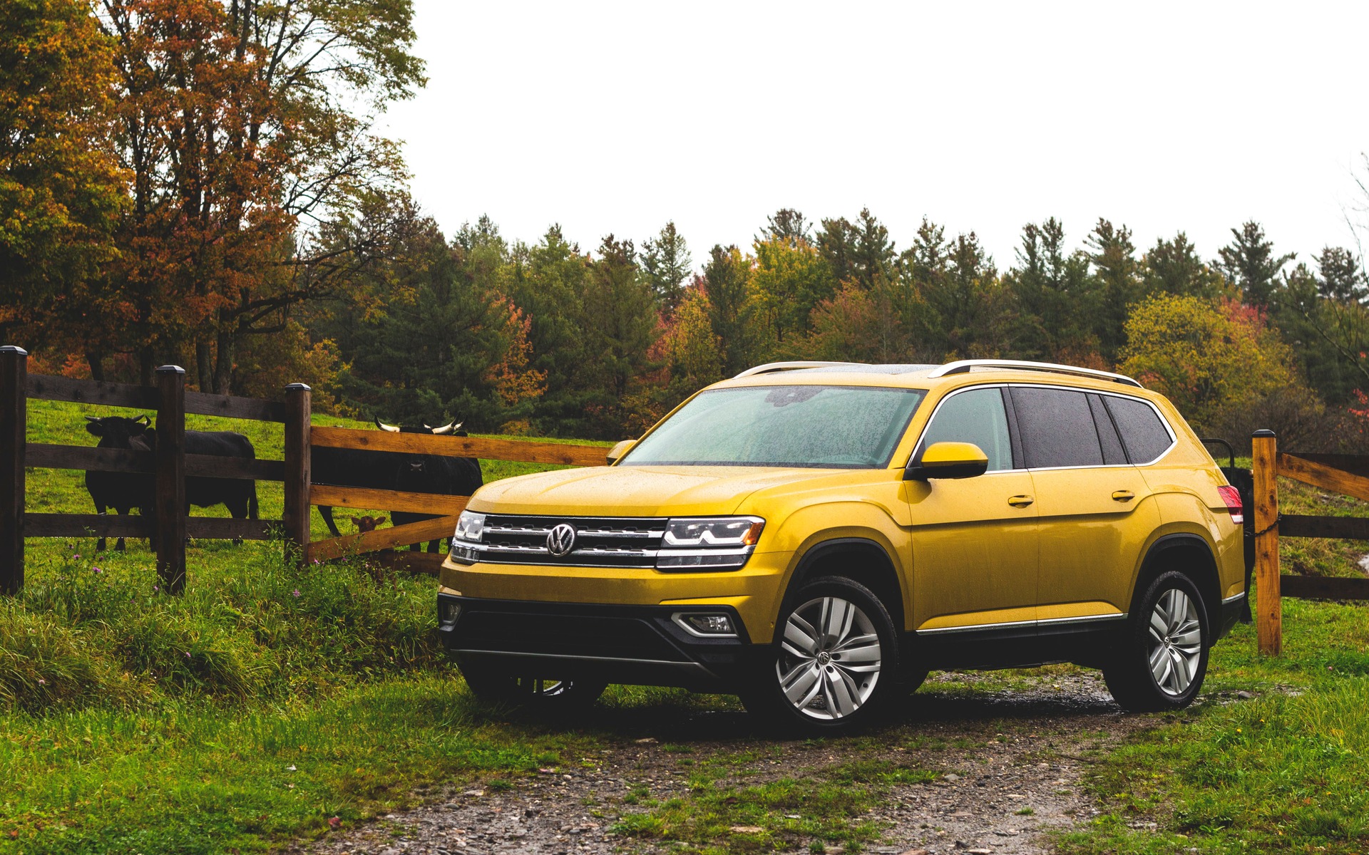 Spacious enough to fit an extra tall comfortably - 5 things you should know  about Volkswagen Atlas