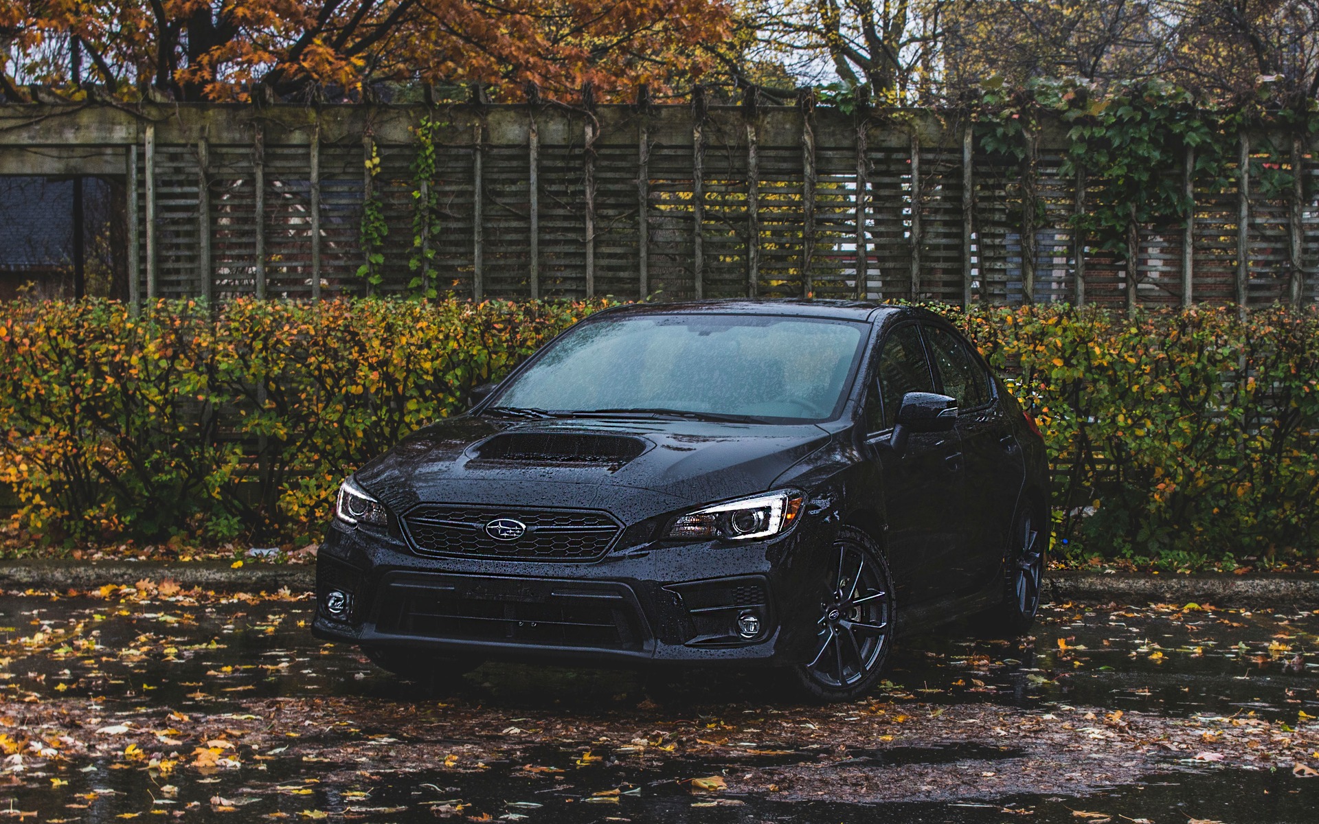 <p>2018 Subaru WRX </p>