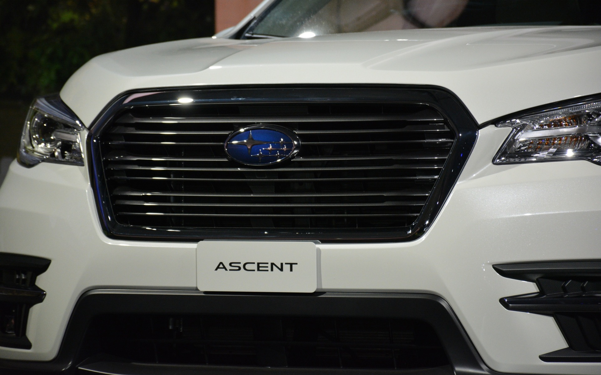 <p>The all-new 2019 Subaru Ascent SUV.</p>