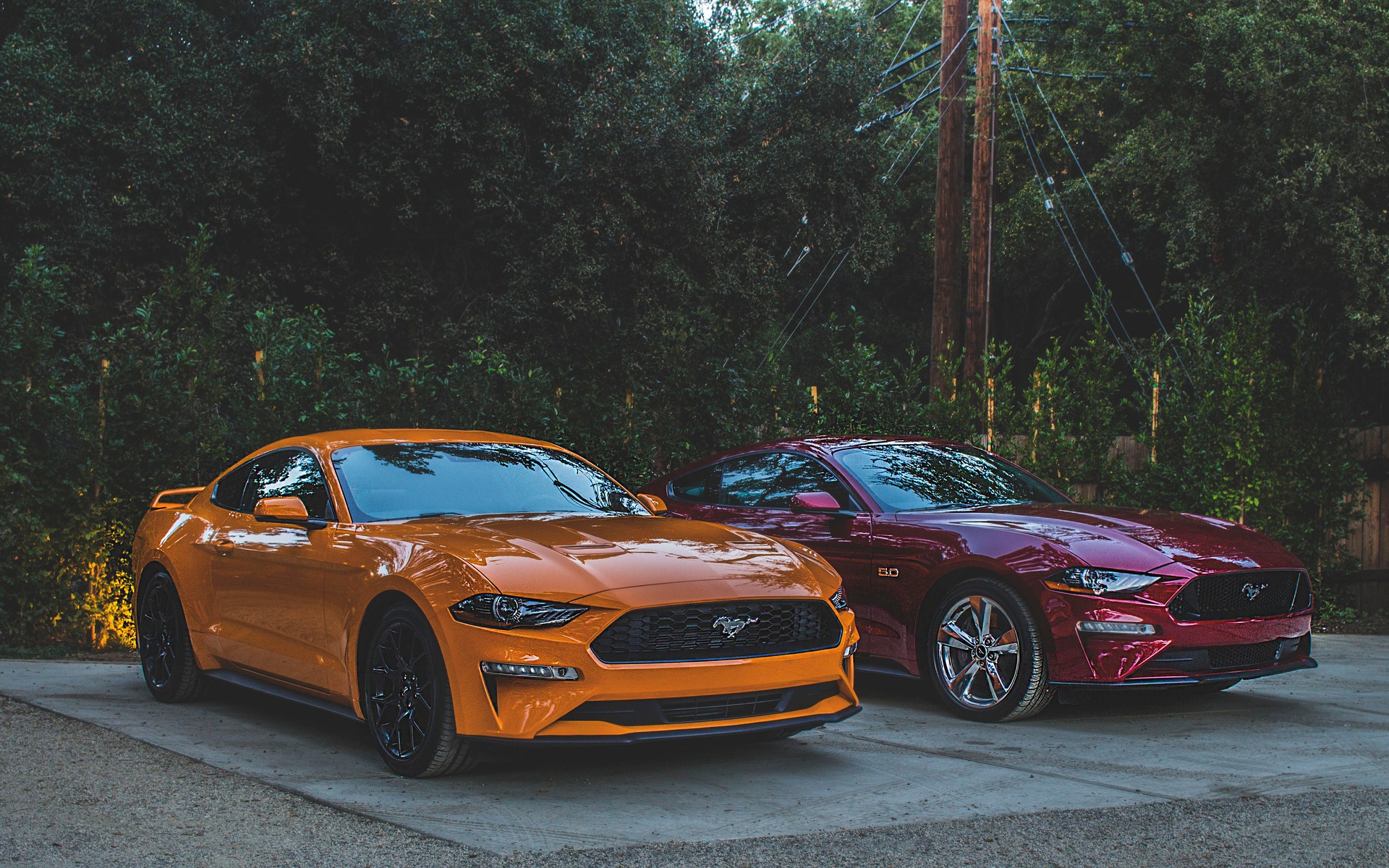 Photo: William Clavey