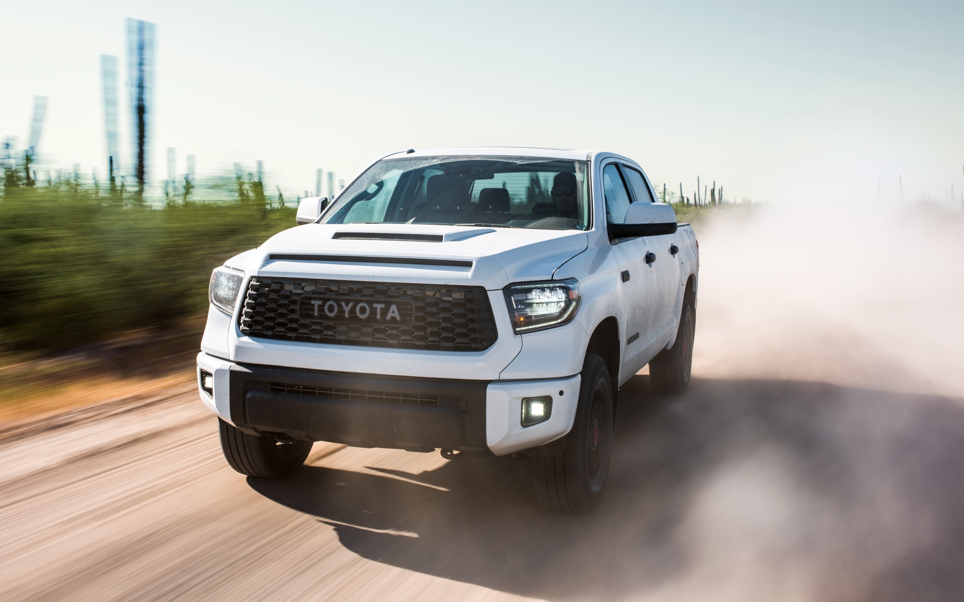 <p>2019 Toyota Tundra TRD Pro</p>