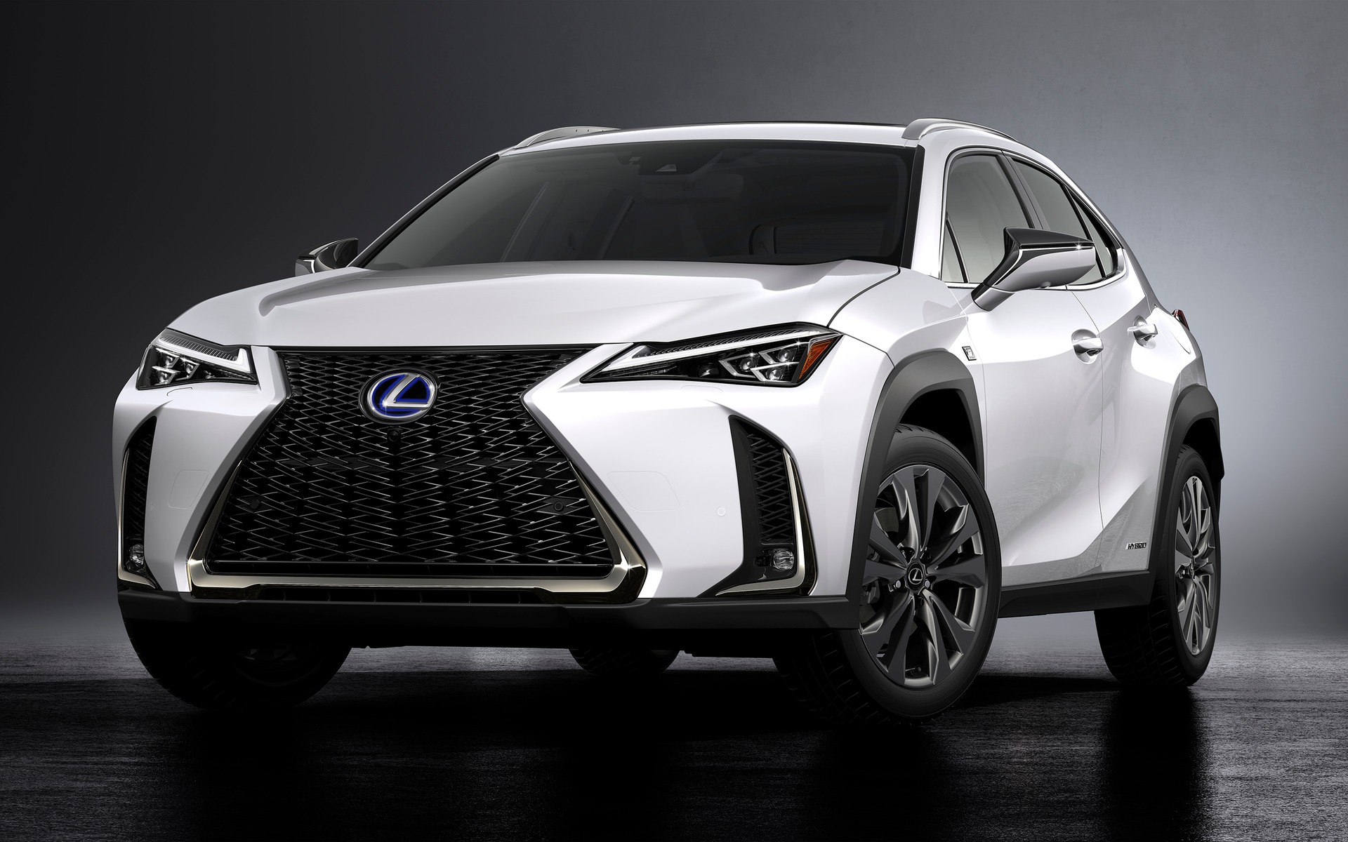 <p>Lexus UX will make its Canadian debut in Edmonton.</p>