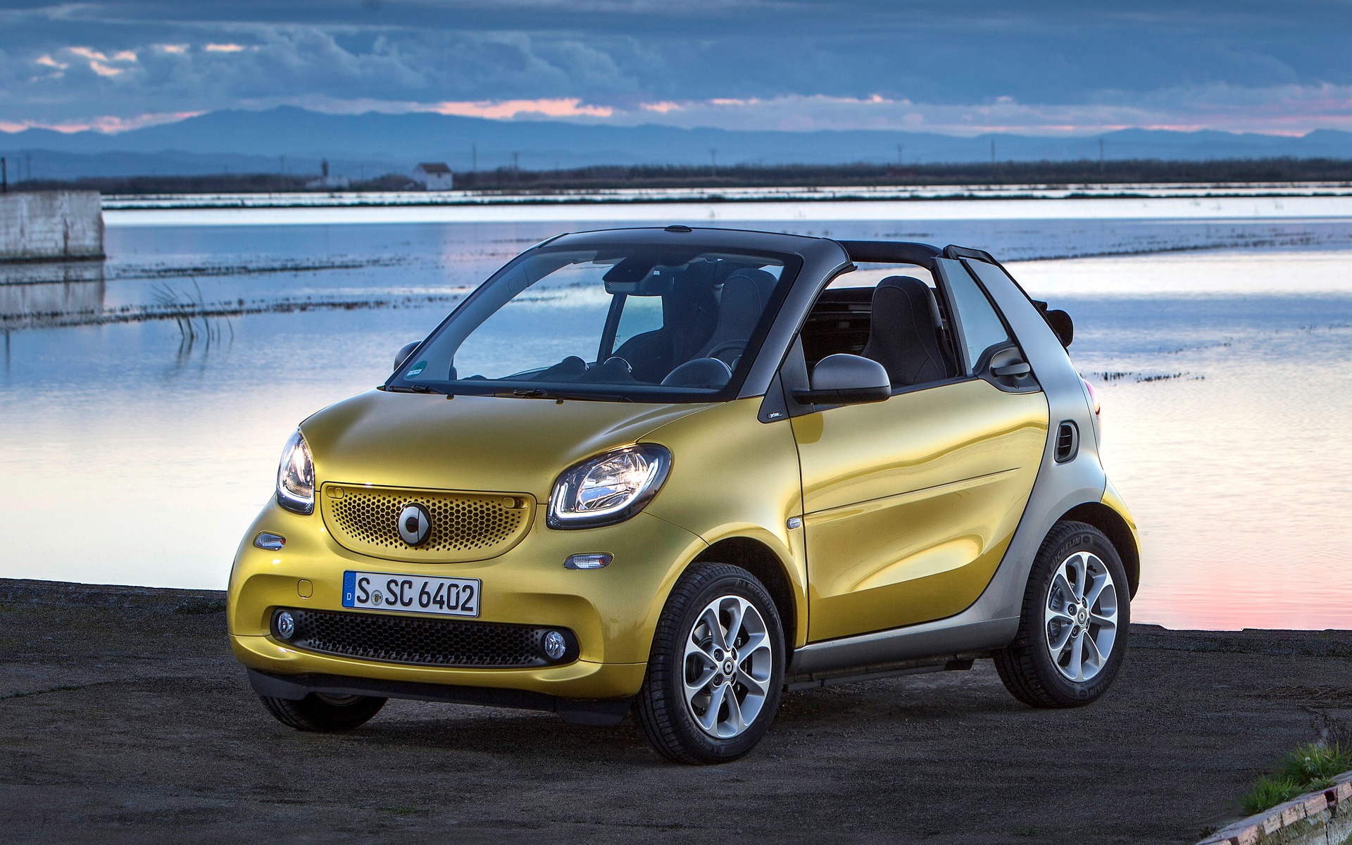 <p>smart fortwo</p>