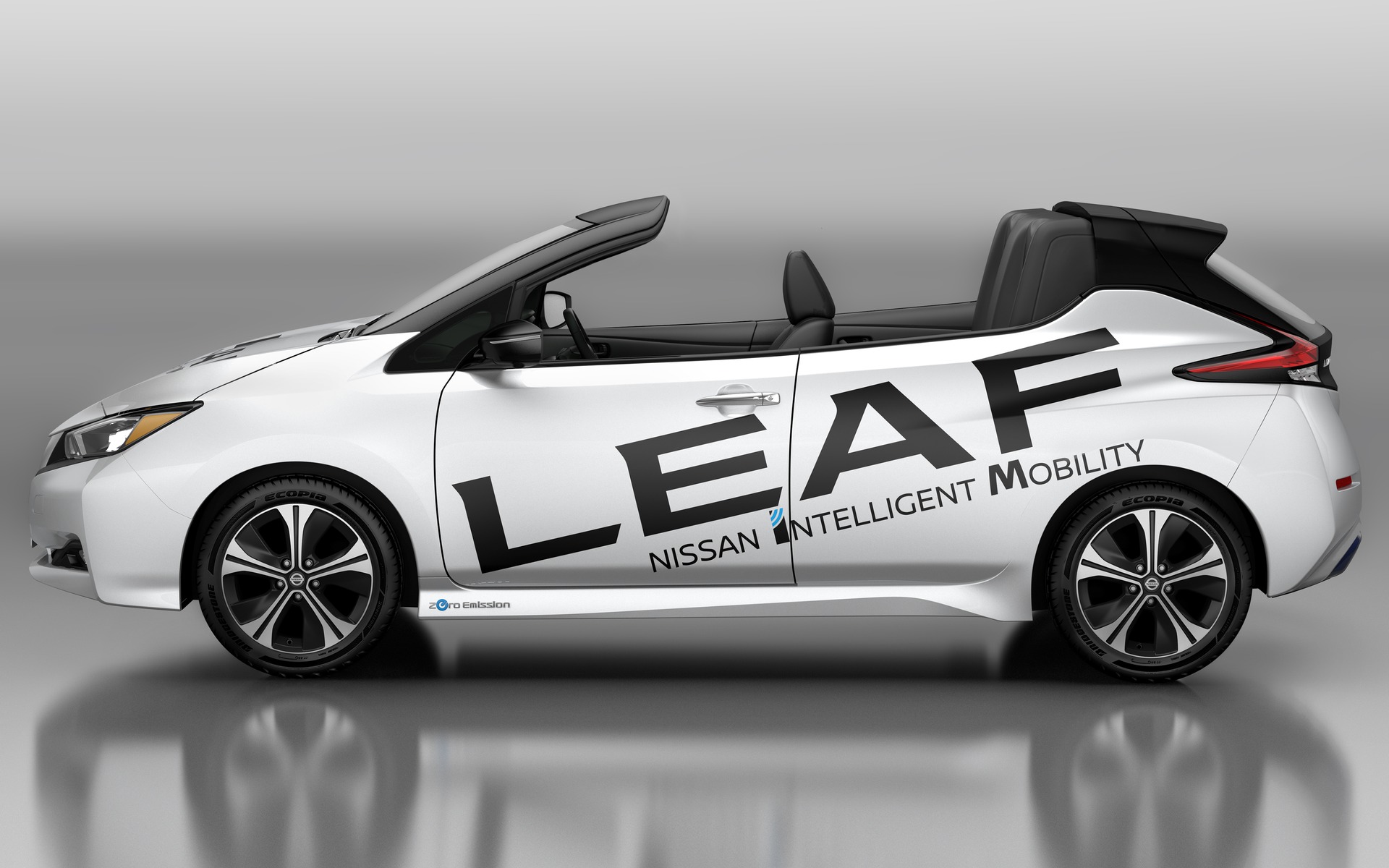 Nissan LEAF Open Air