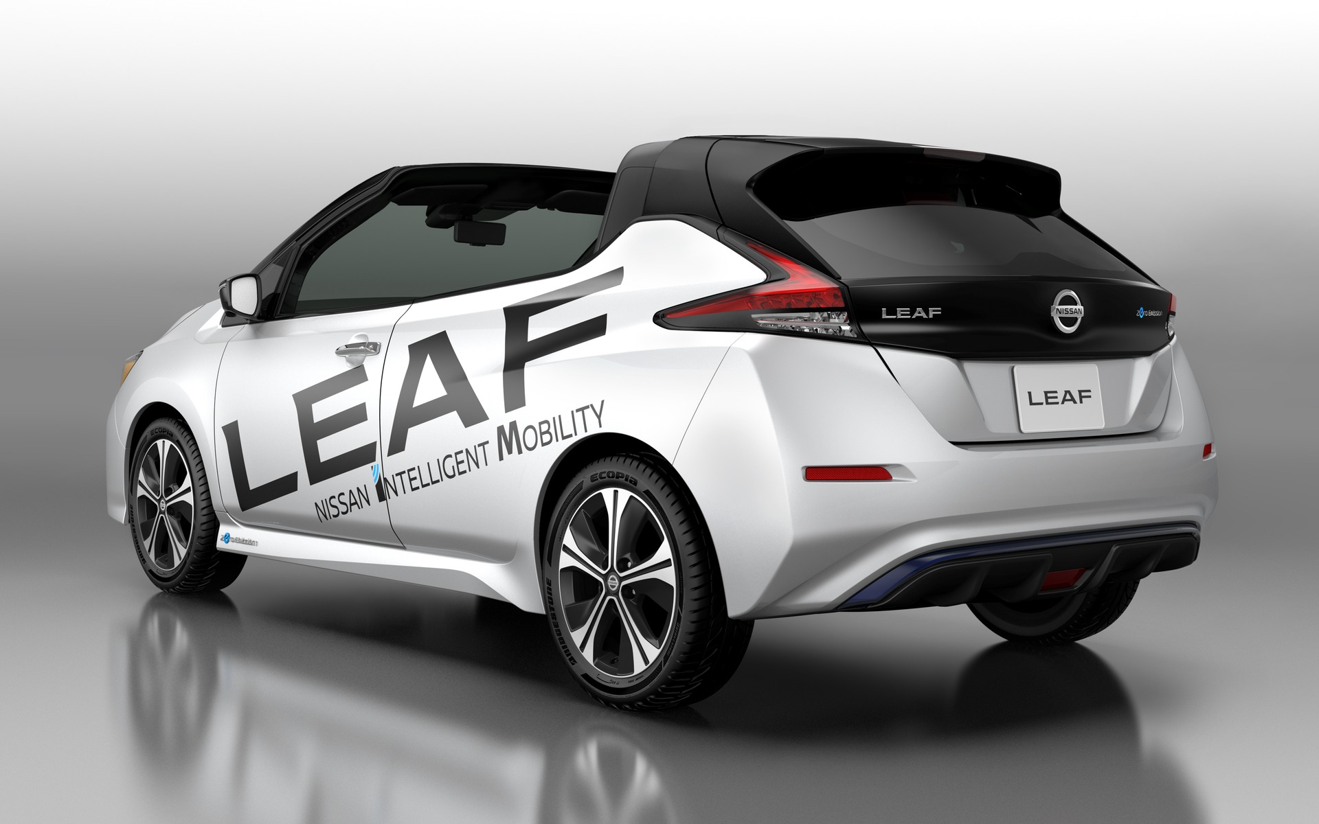 <p>Nissan LEAF Open Air</p>