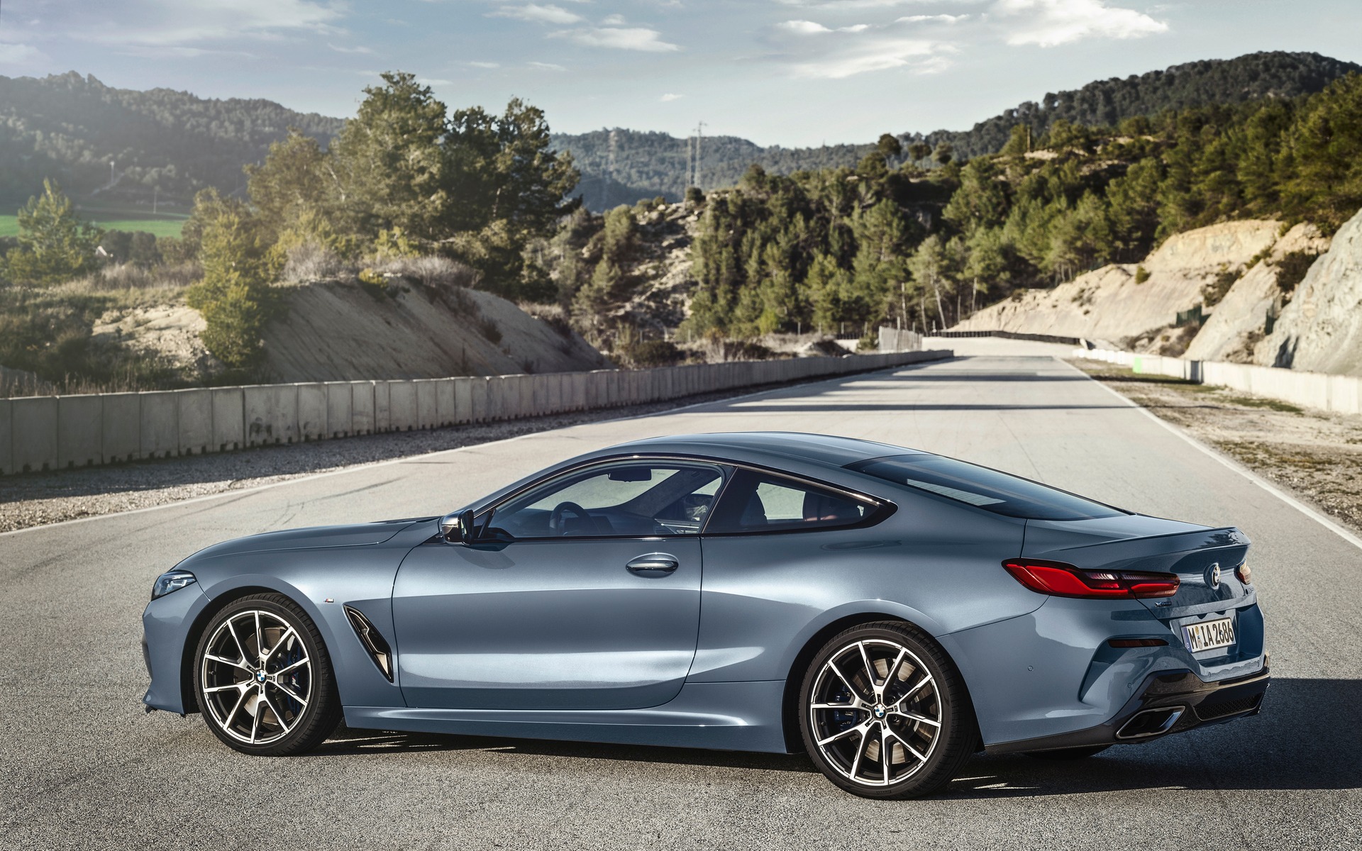 <p>2019 BMW 8 Series Coupe and its elongated silhouette</p>