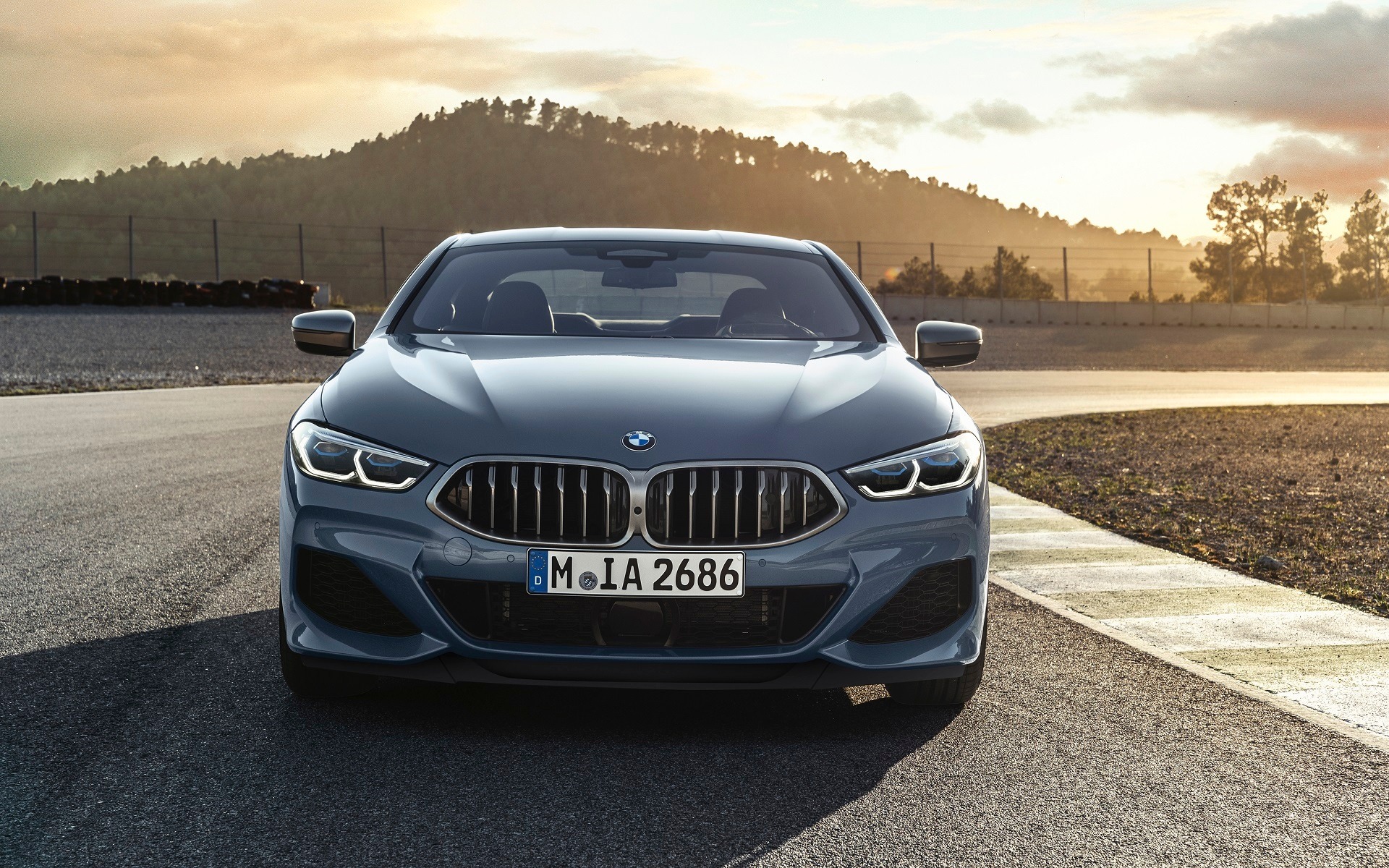 <p>2019 BMW 8 Series Coupe front view</p>