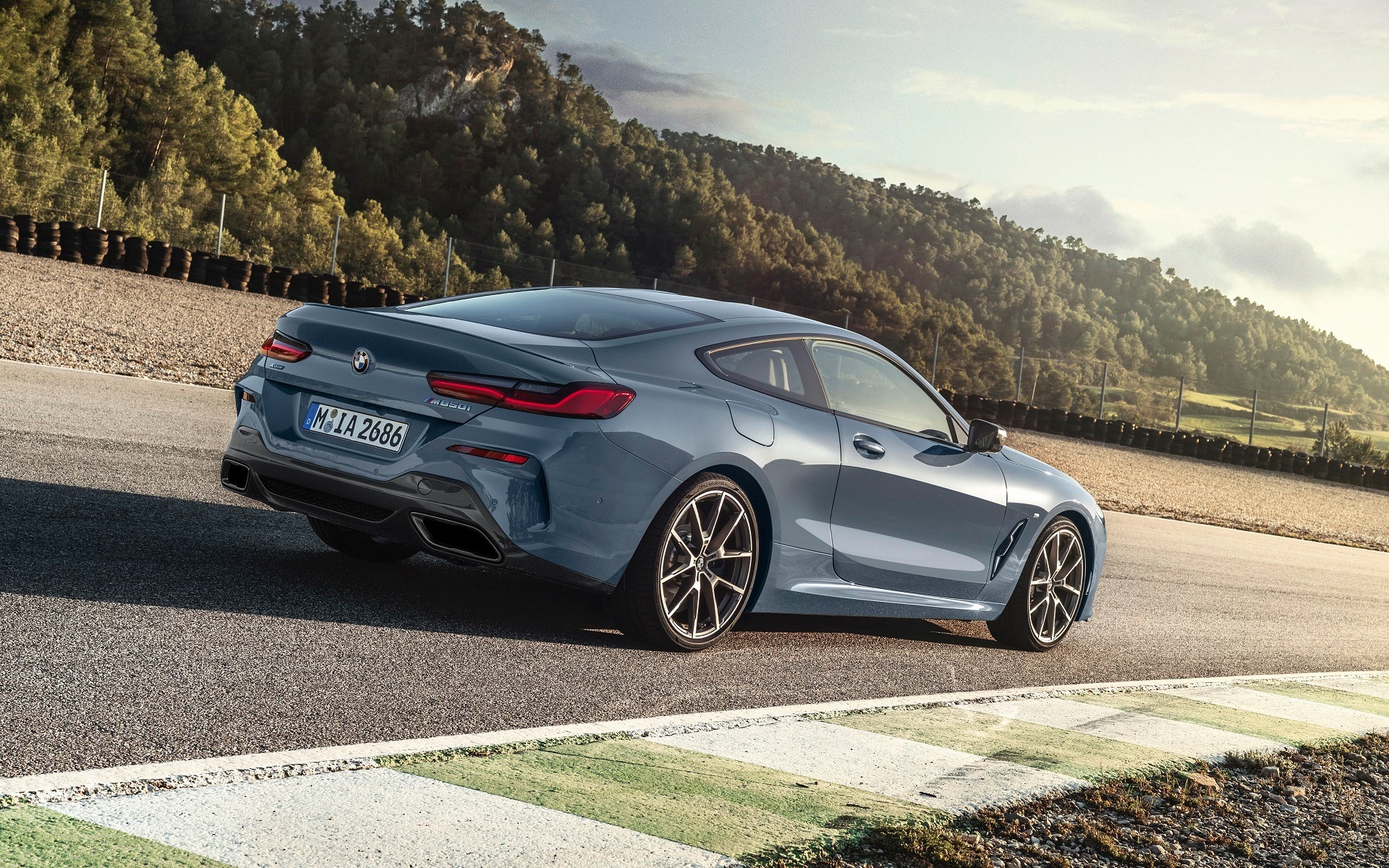 <p>2019 BMW 8 Series Coupe from the rear</p>