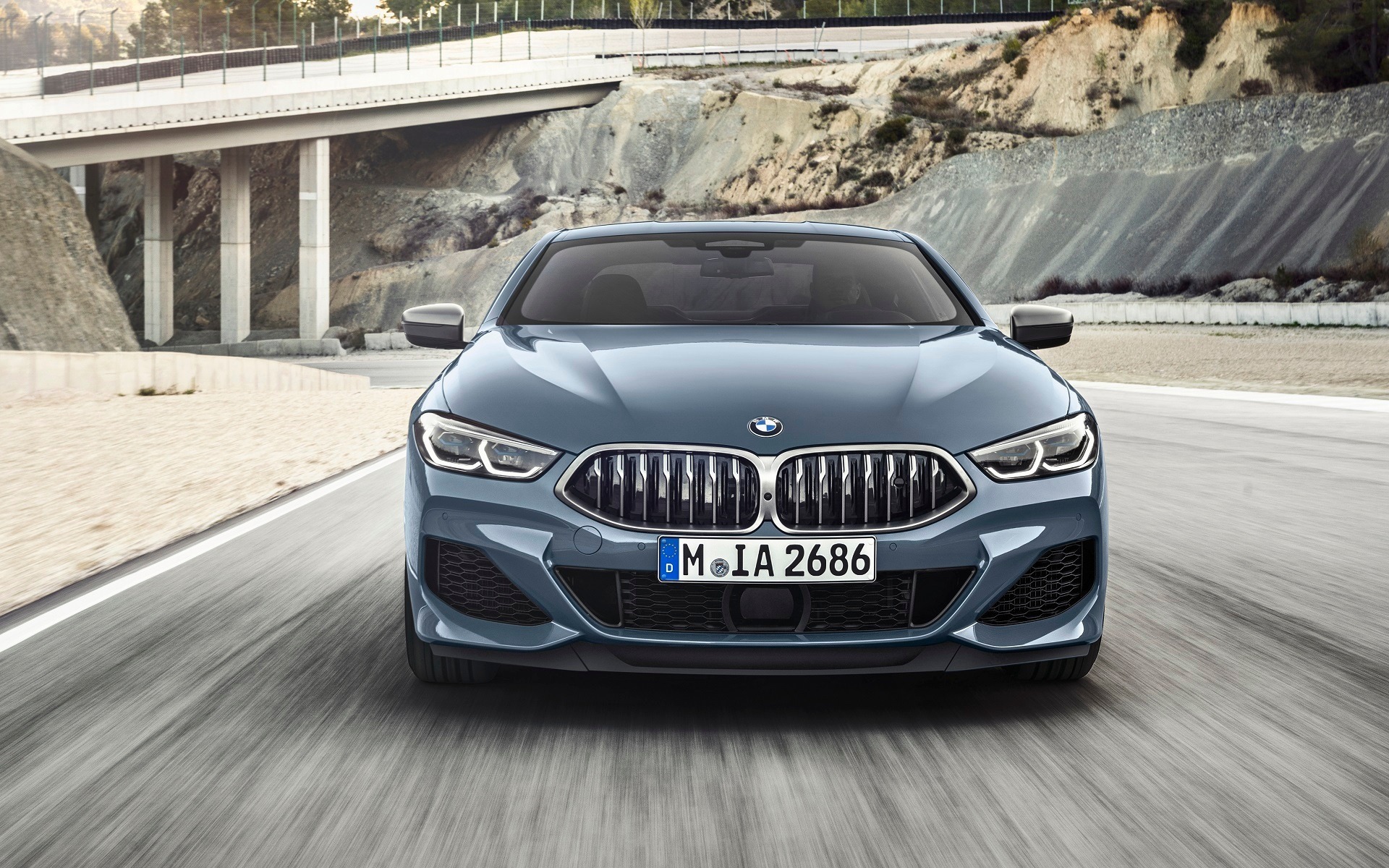 <p>2019 BMW 8 Series Coupe with a new kidney grille</p>
