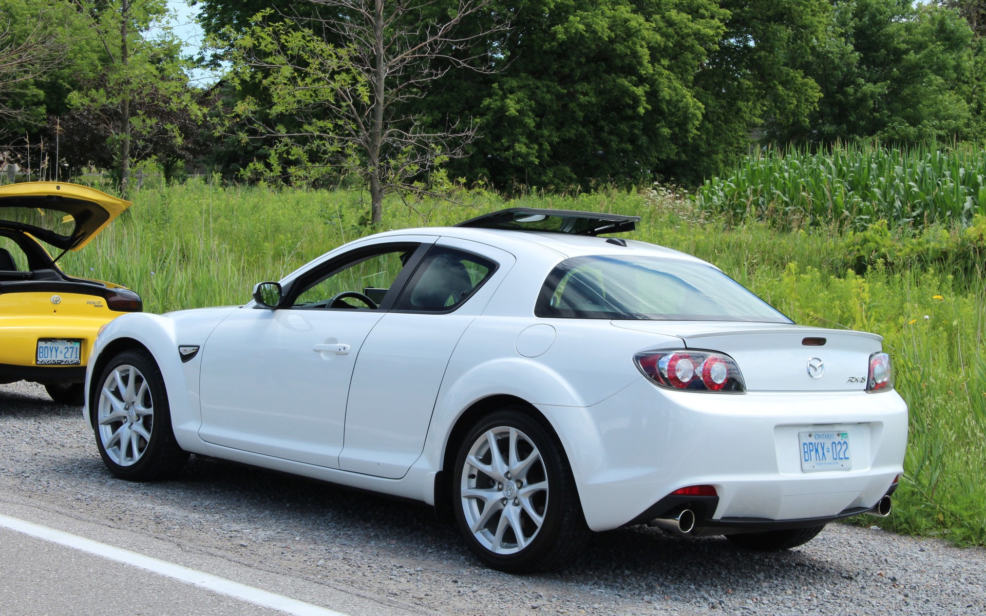 <p>2011 Mazda RX-8</p>