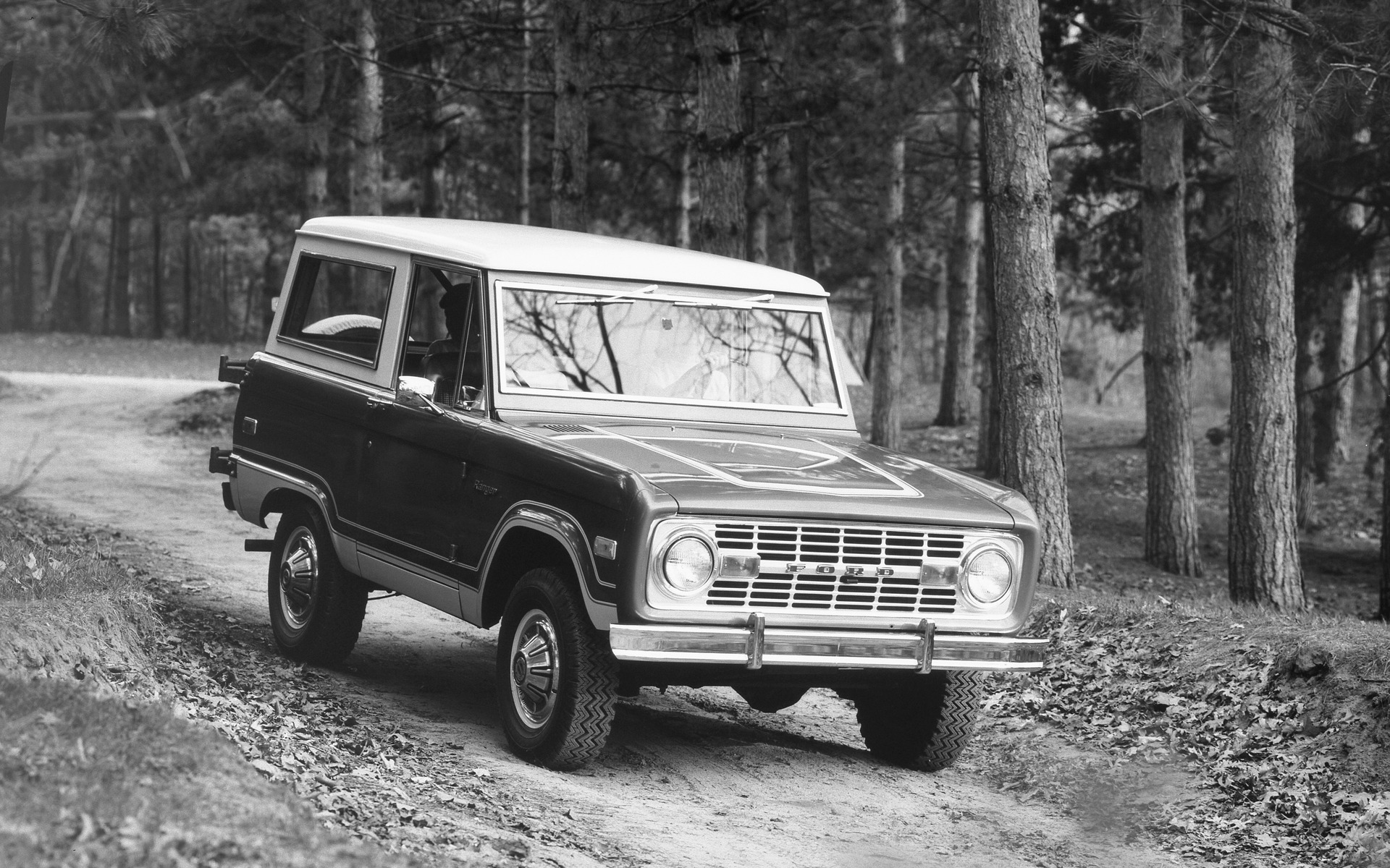 <p>Ford Bronco 1973</p>