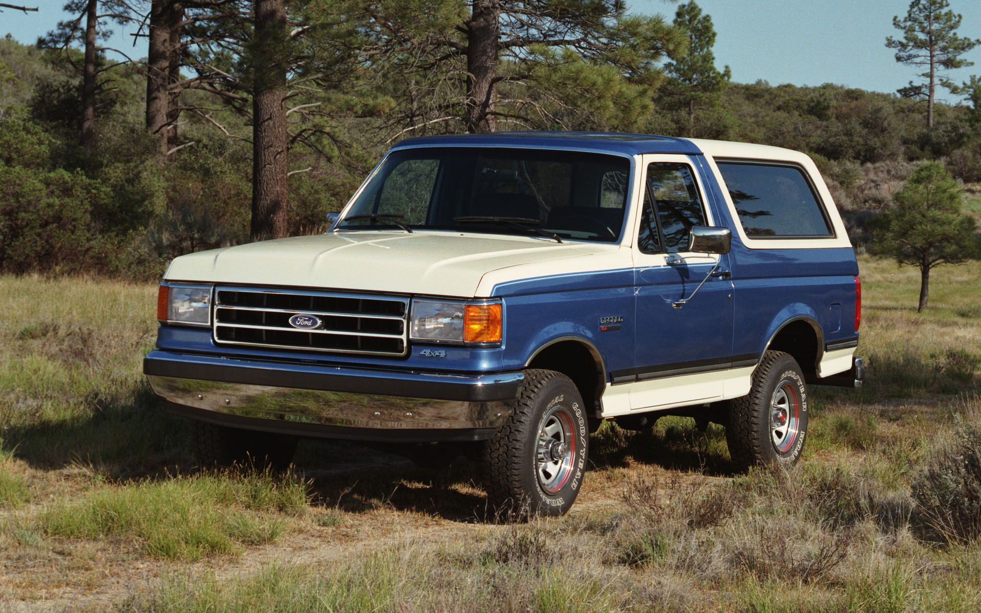 <p>Ford Bronco 1989</p>