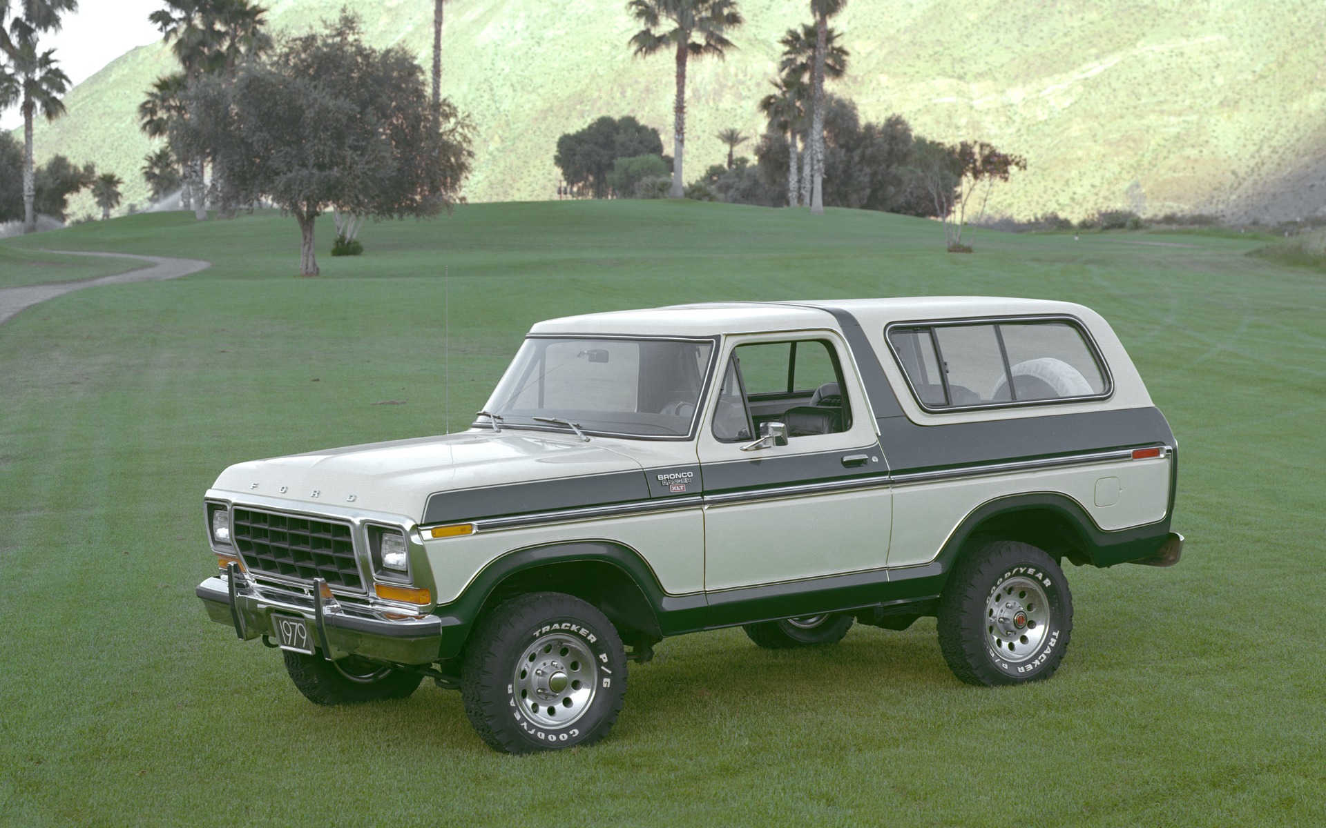 <p>1979 Ford Bronco</p>