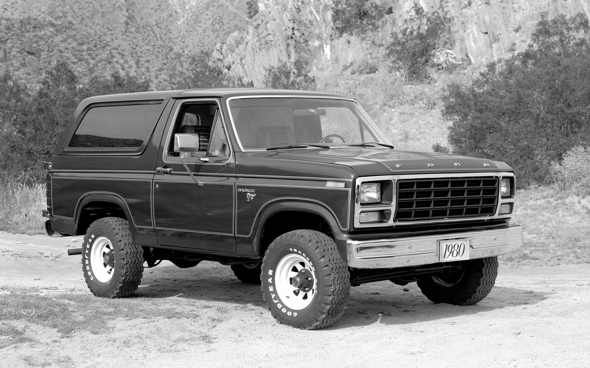 <p>1980 Ford Bronco</p>