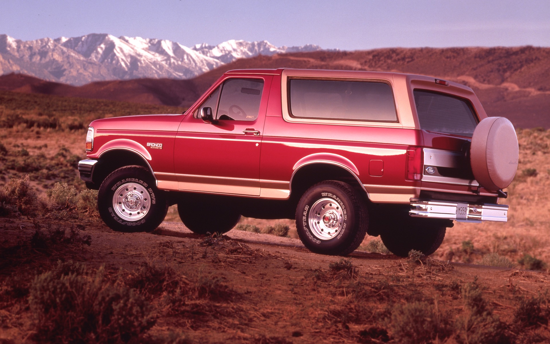 <p>1994 Ford Bronco Eddie Bauer</p>