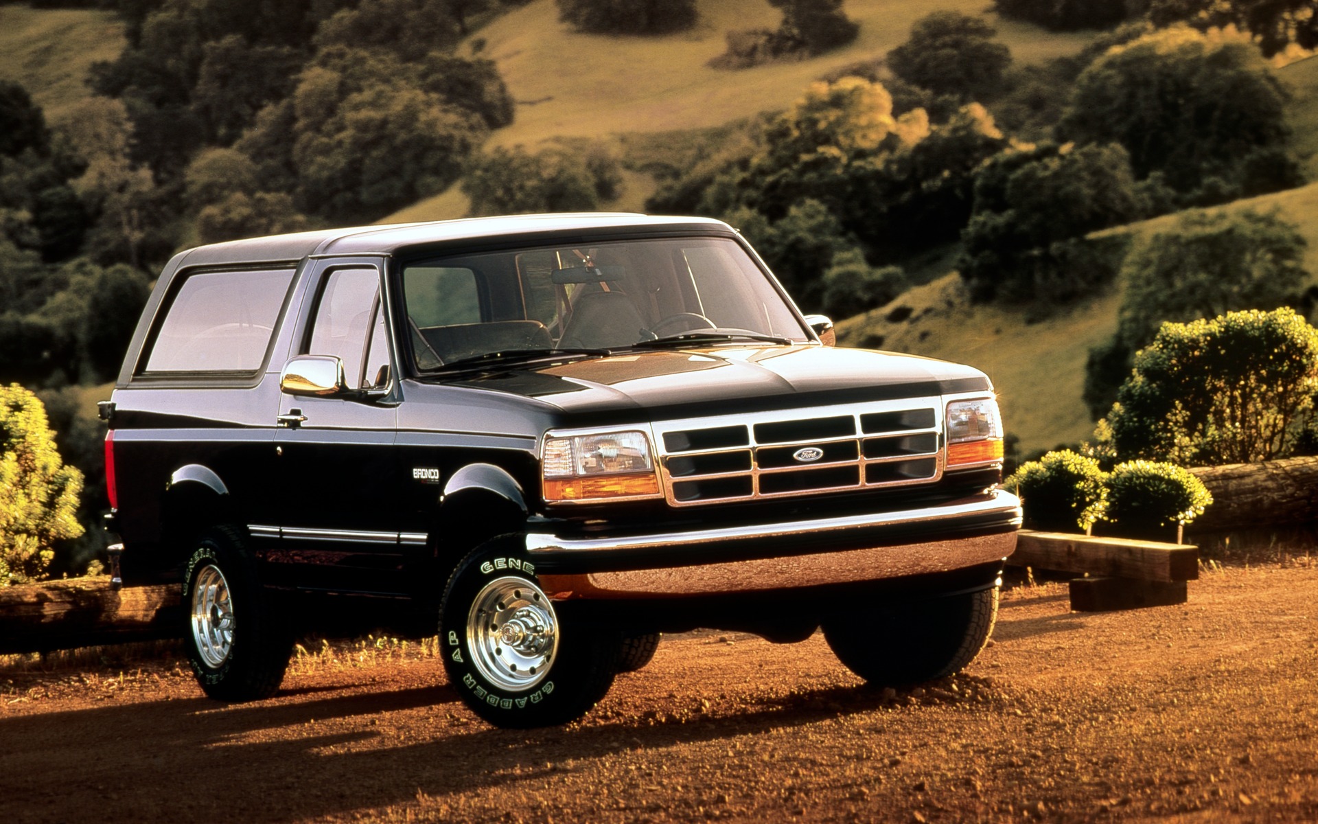 <p>1995 Ford Bronco XL</p>