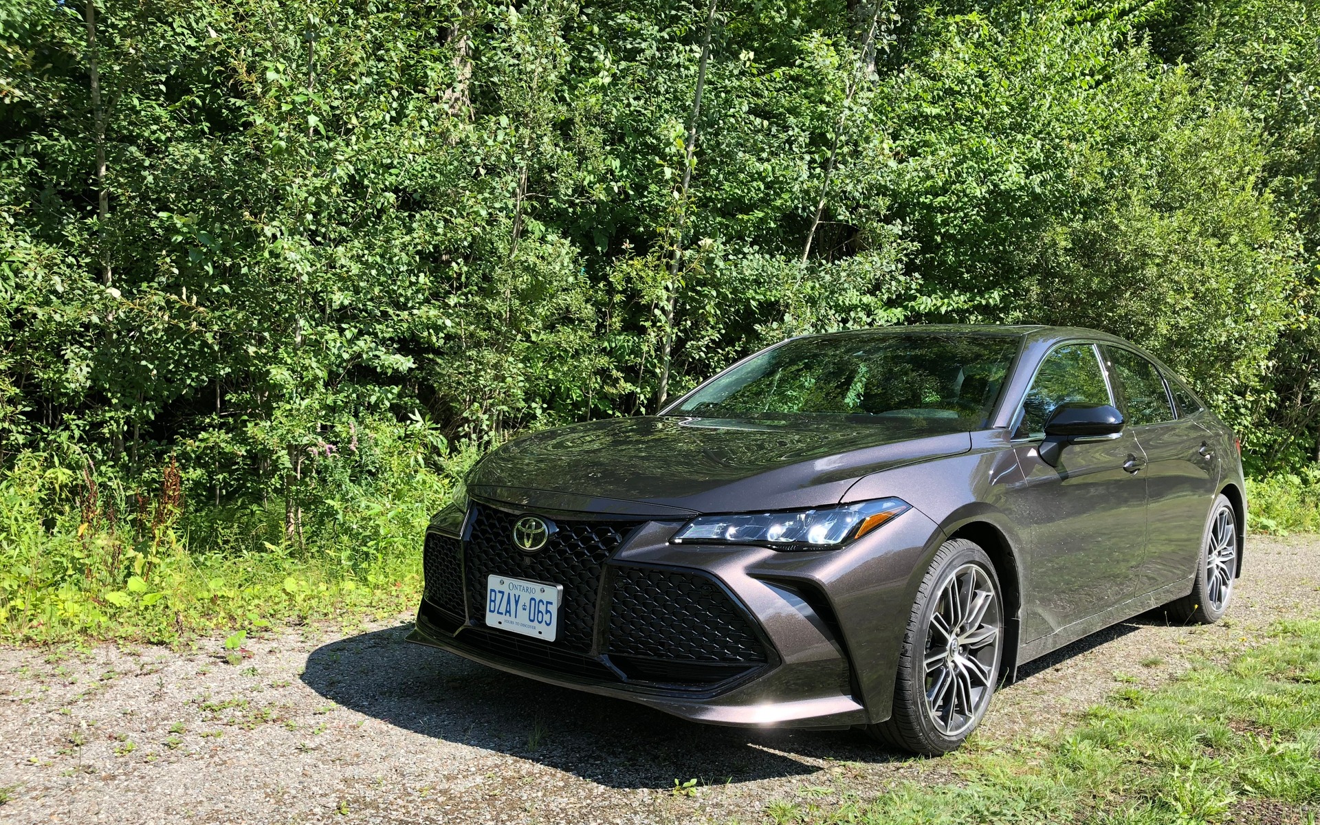 Toyota Avalon Touring: Premium sedan at a discount - WTOP News