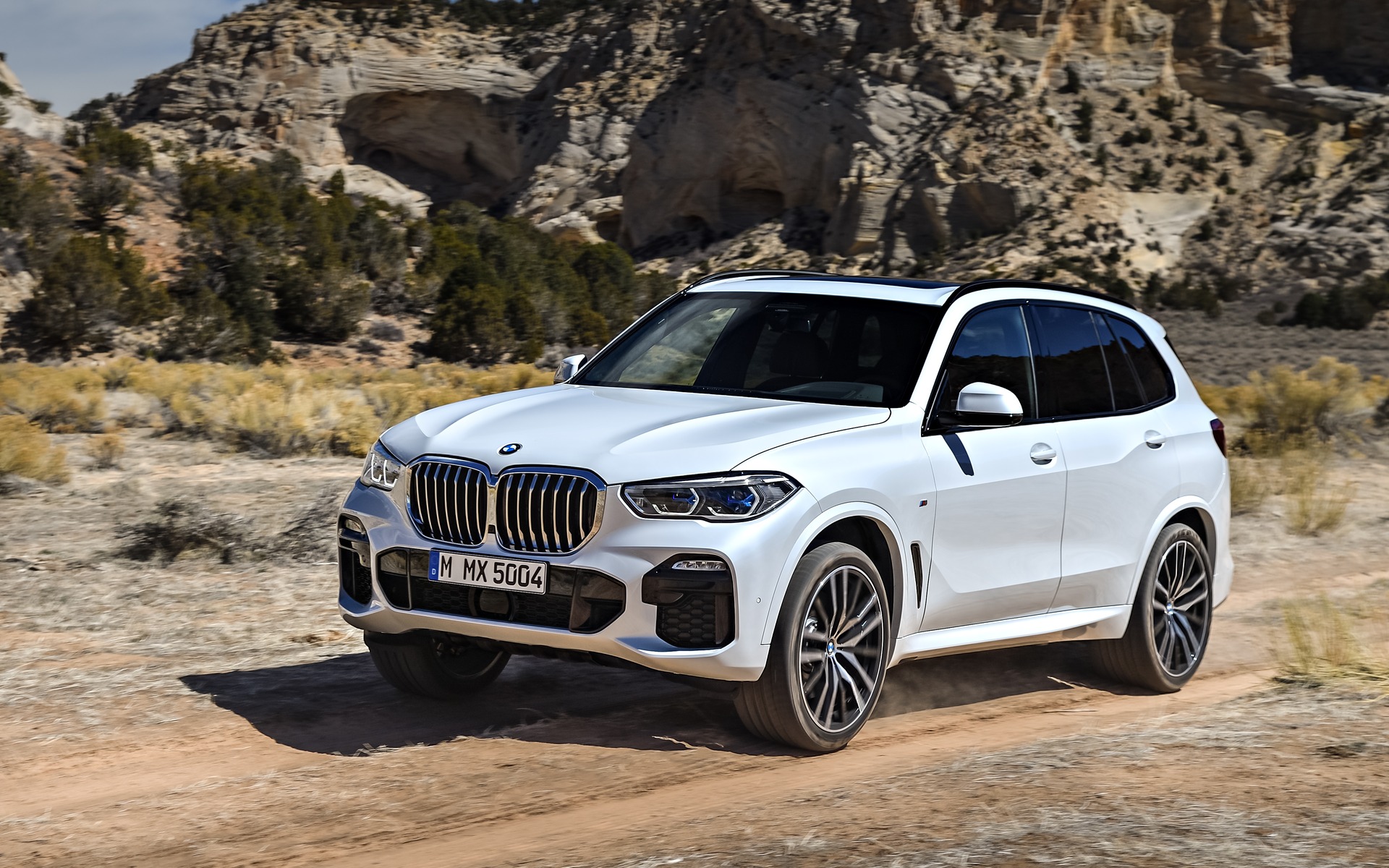 Top 10 New Features of the 2019 BMW X5 - 1/11