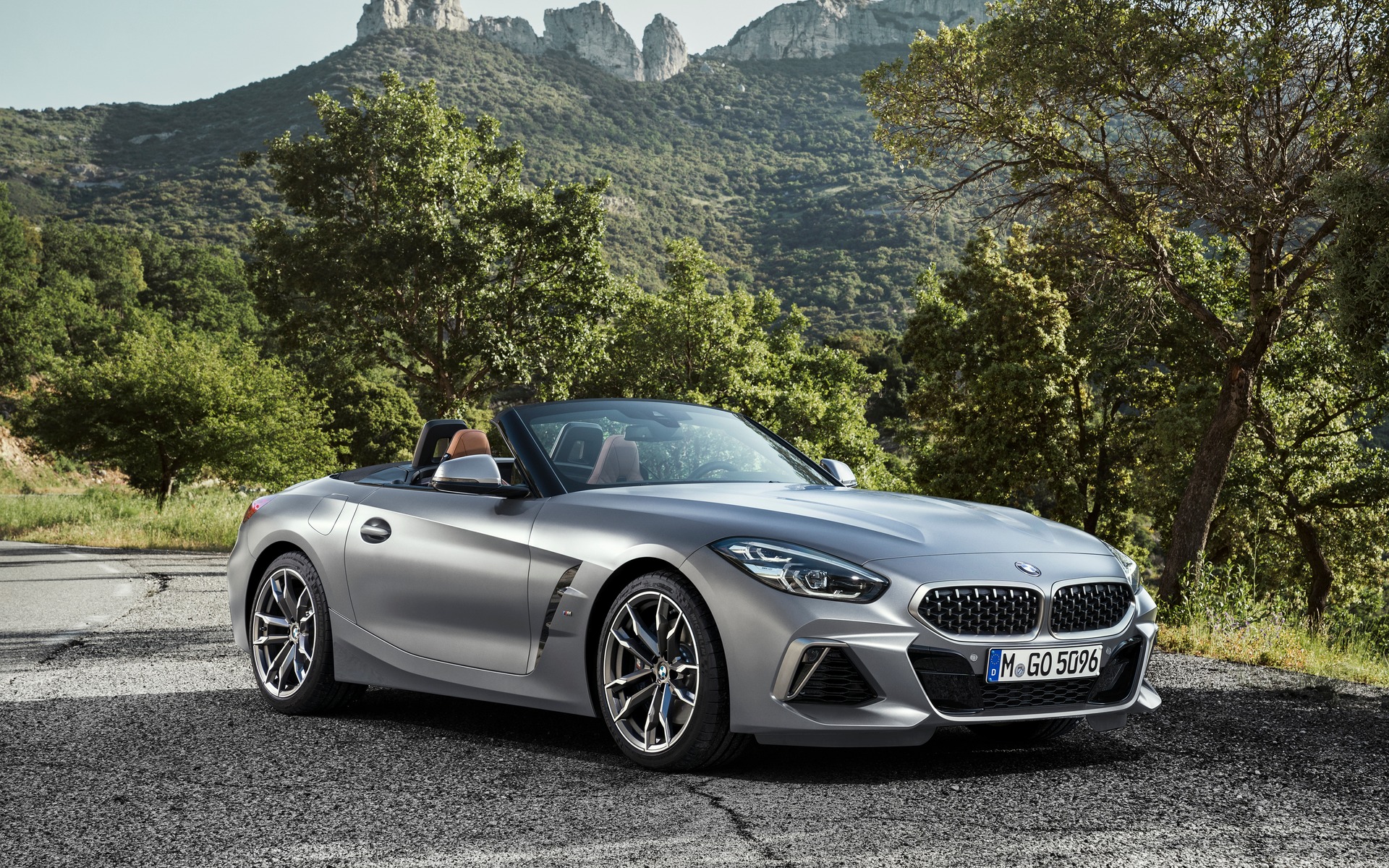 2019 BMW Z4 Roadster: the sDrive30i Version Will Arrive First  The Car Guide