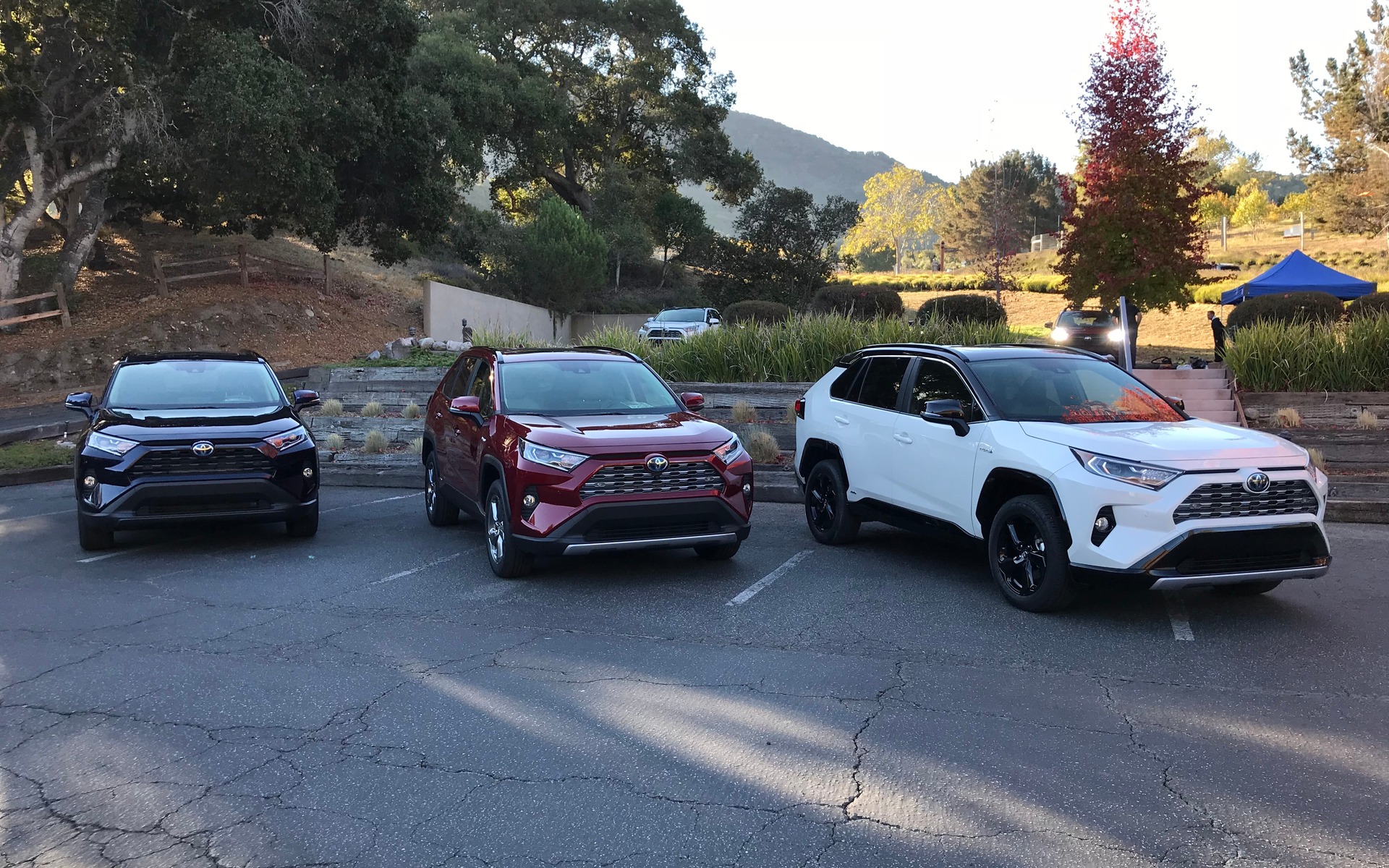<p>Toyota RAV4&nbsp;2019</p>