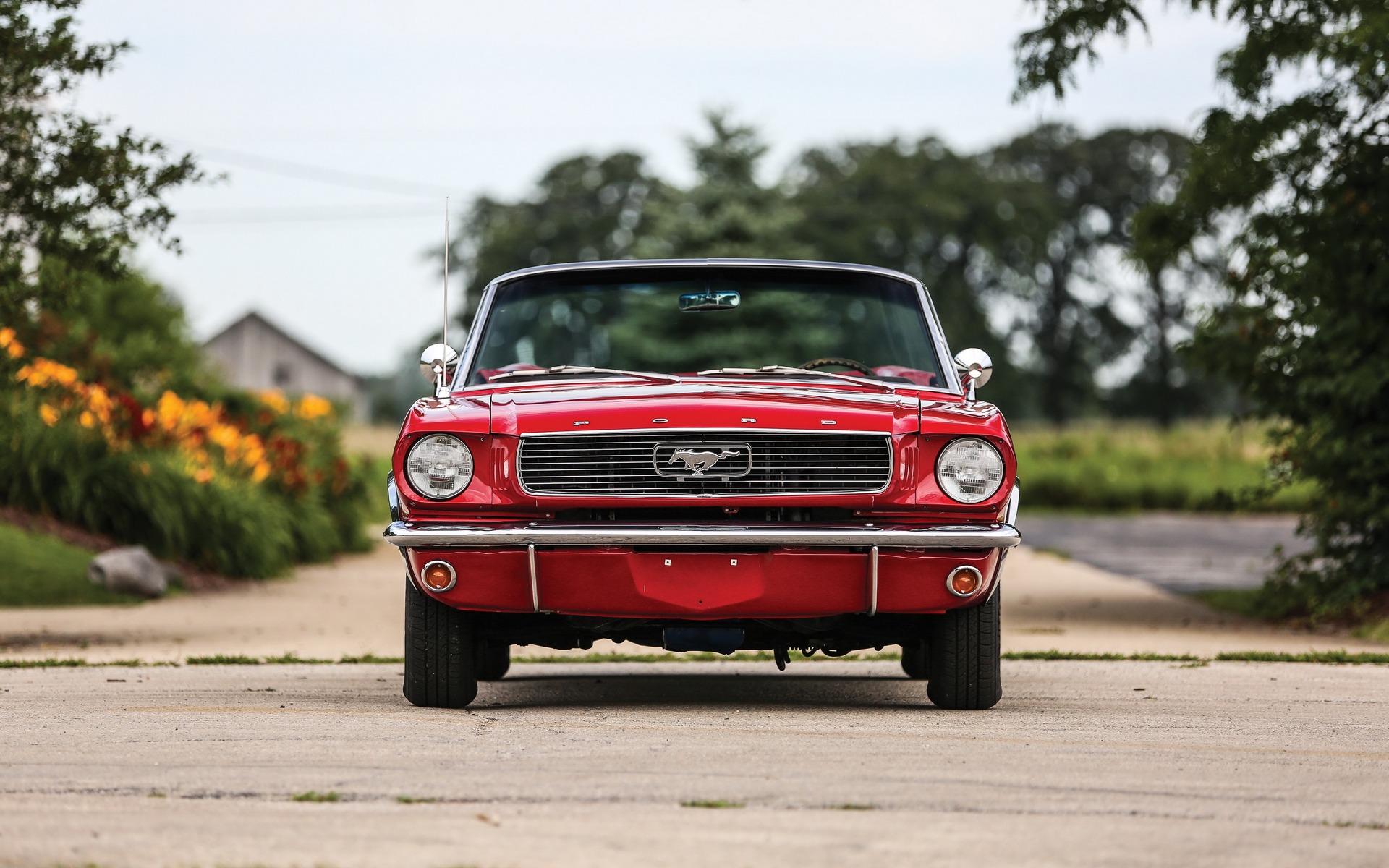 <p>Ford Mustang 1966</p>