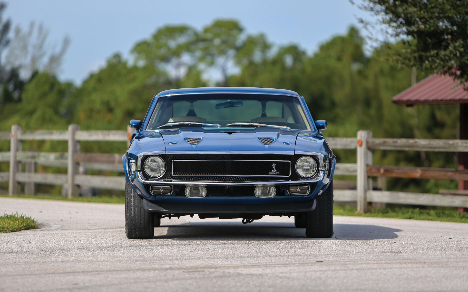 <p>Ford Mustang Shelby GT500&nbsp;1969</p>
