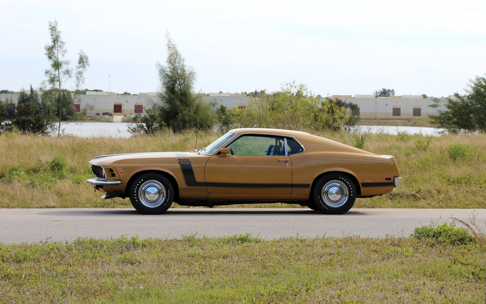 <p>Ford Mustang Boss 302&nbsp;1970</p>