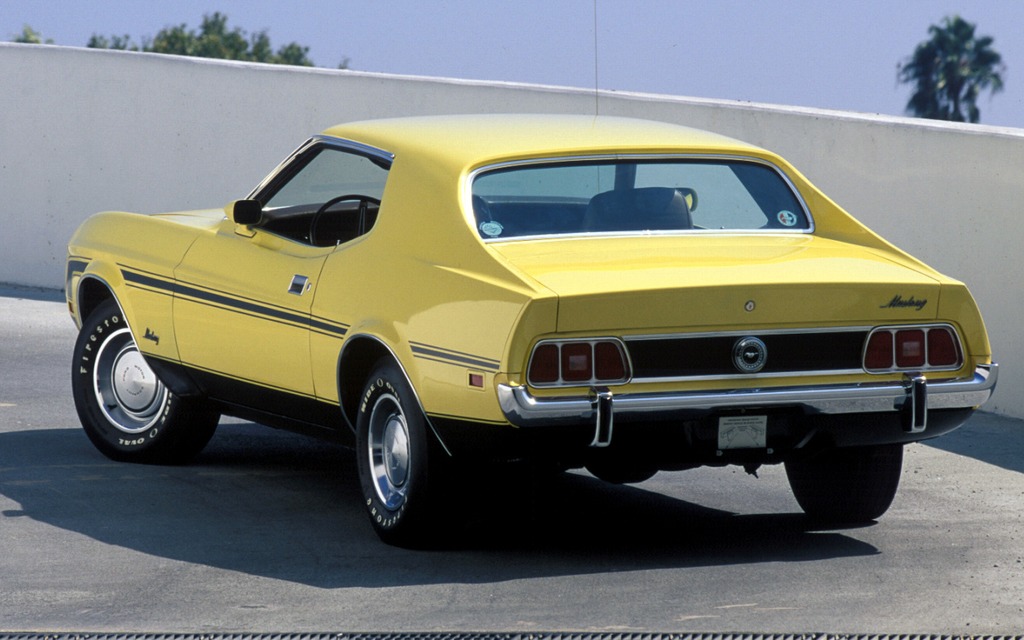 <p>Ford Mustang 1973</p>