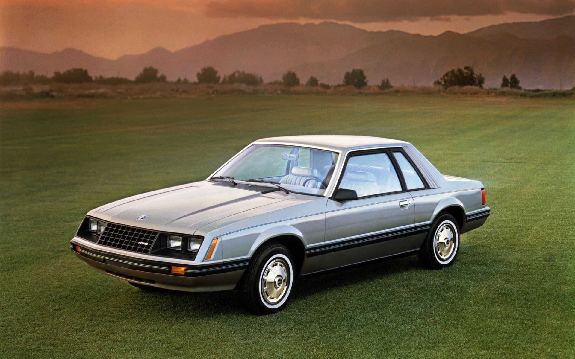 <p>Ford Mustang 1981</p>