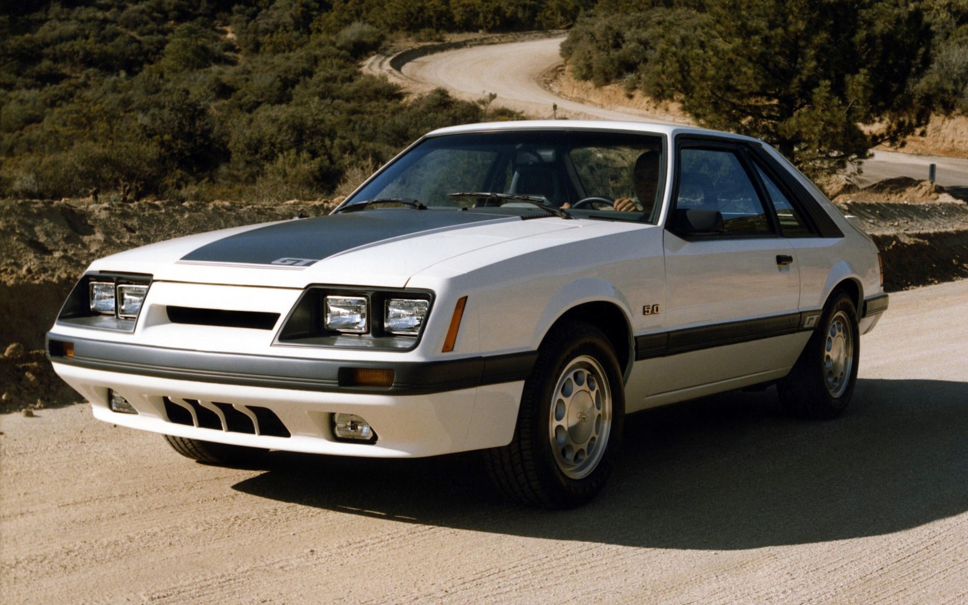 <p>Ford Mustang GT 1985</p>