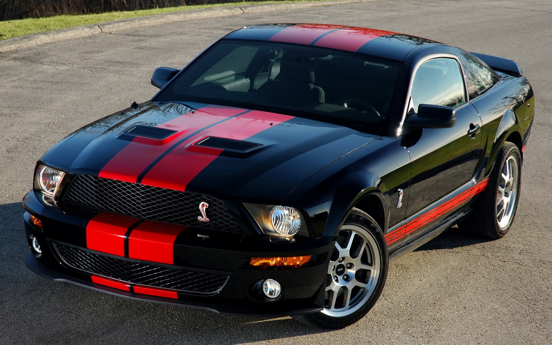 <p>Ford Mustang Shelby GT500&nbsp;2007</p>