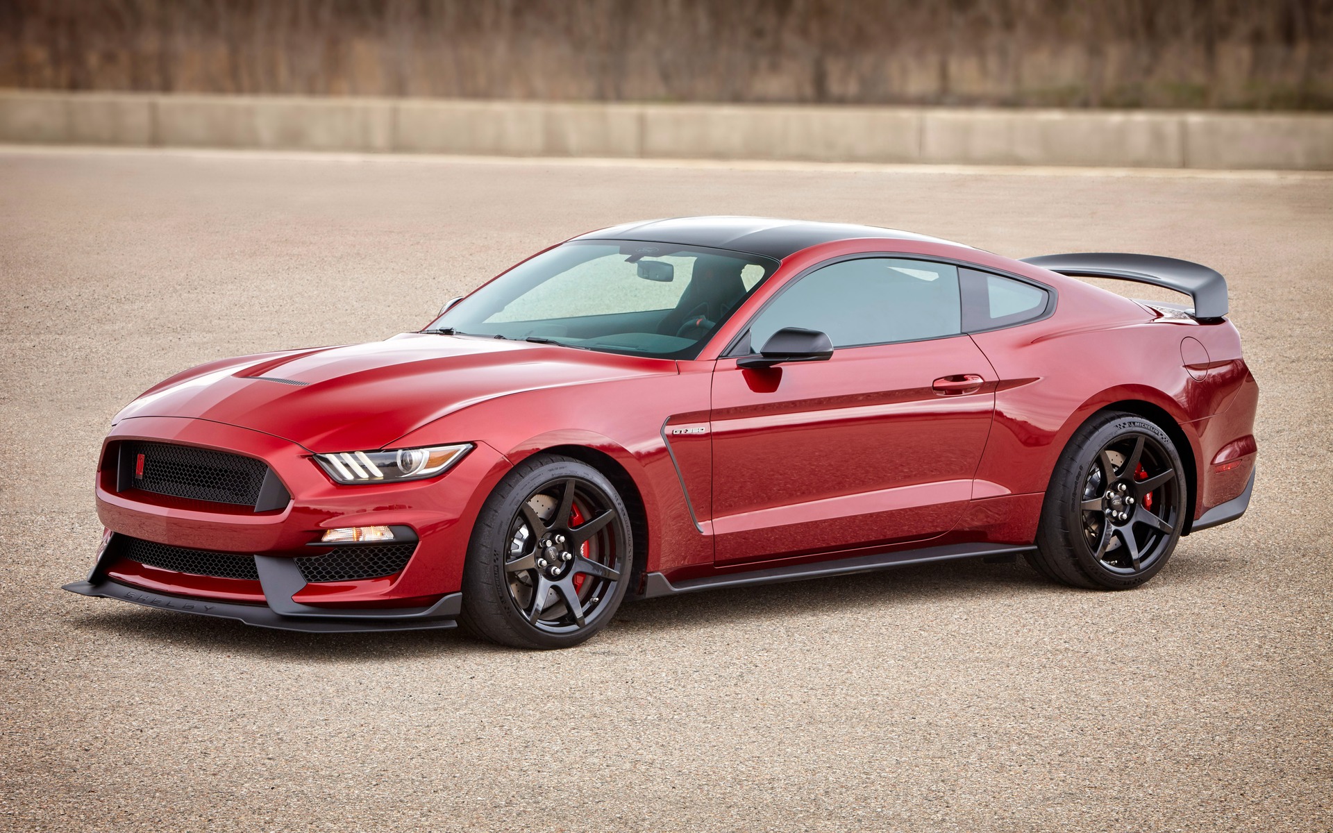 <p>Ford Mustang Shelby GT350 R 2016</p>