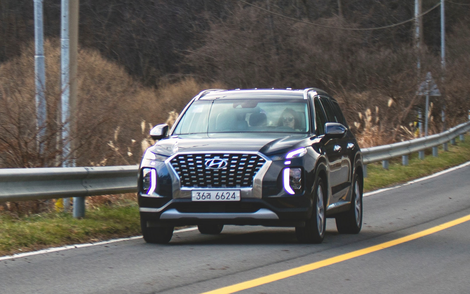 Hyundai Palisade Wallpaper