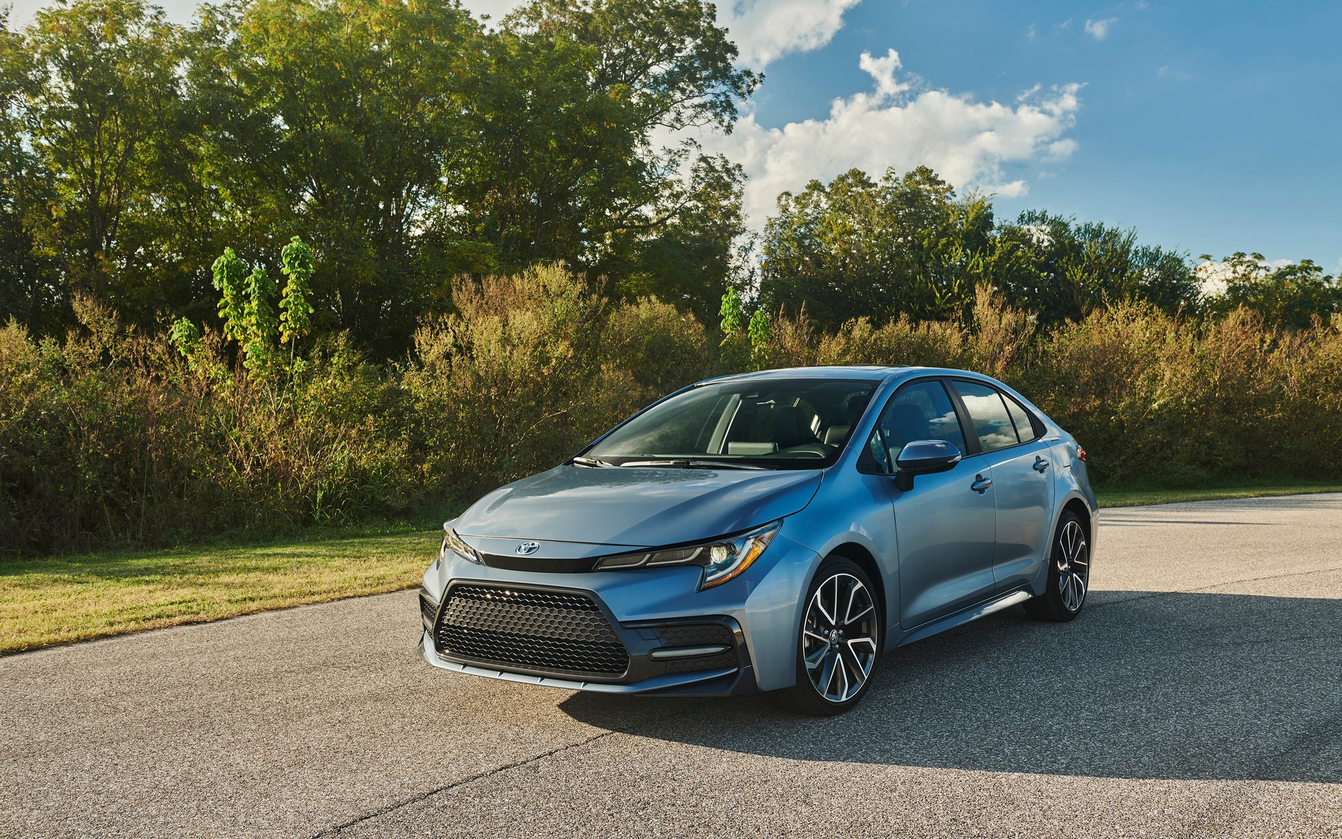 <p>Toyota Corolla 2020</p>