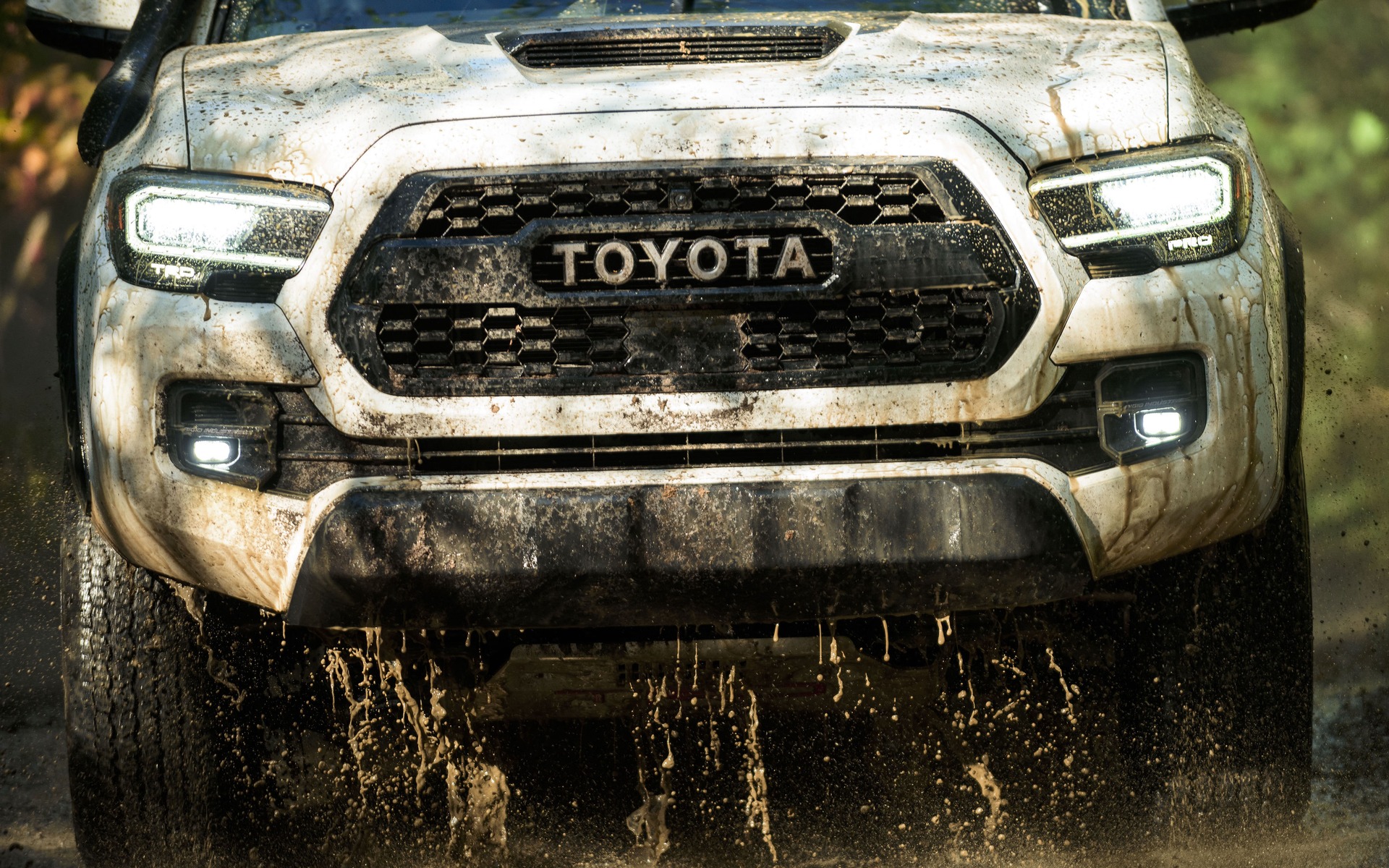 <p>Toyota Tacoma TRD Pro</p>