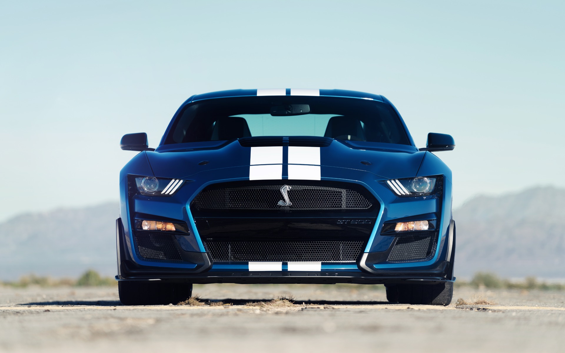 <p>Ford Shelby GT500</p>