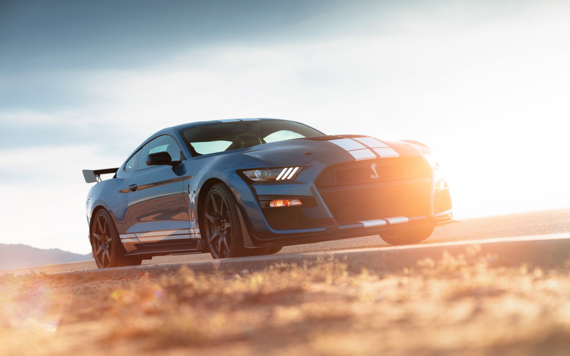 Canadian Premiere of the 2020 Ford Shelby GT500 in Toronto - 5/21