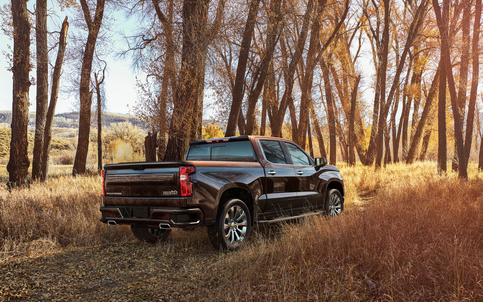 <p>2019 Chevrolet Silverado 1500</p>