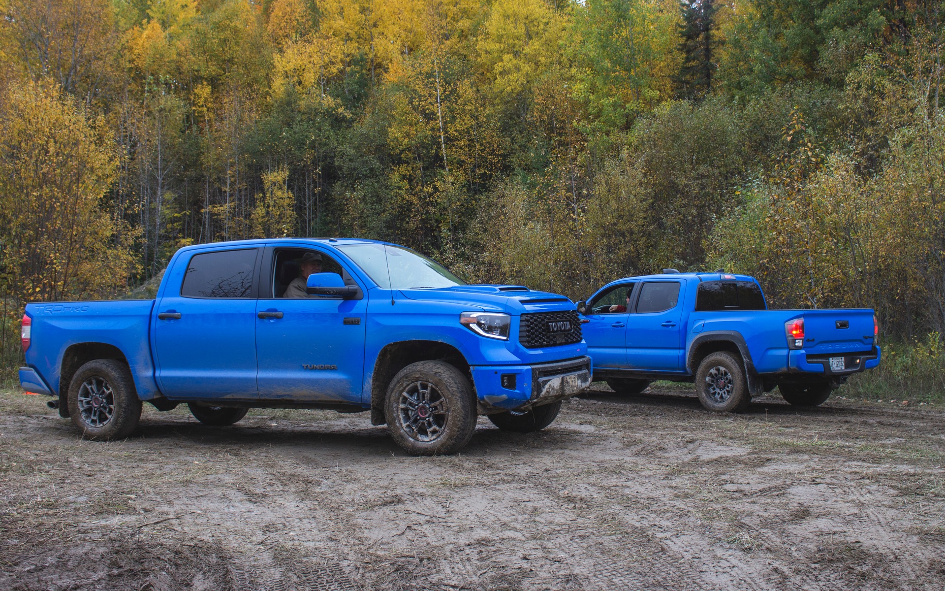 <p>2019 Toyota Tundra and Tacoma TRD Pro</p>