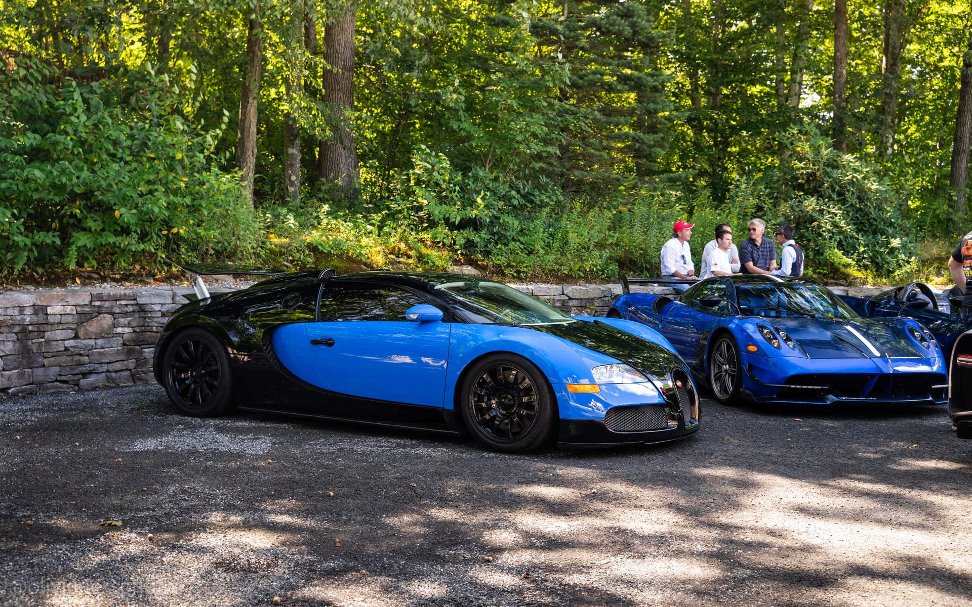 <p><strong>Bugatti Veyron et Pagani Huayra BC</strong></p>