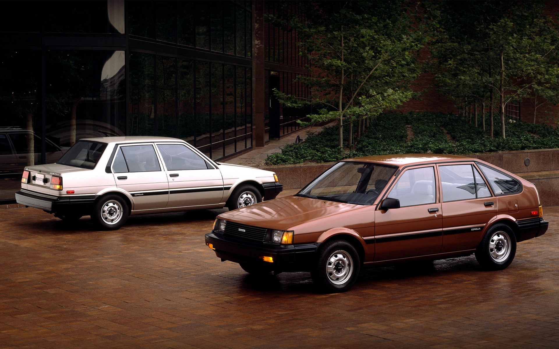 <p>Toyota Corolla<br>Fifth generation (1984-1987)</p>
